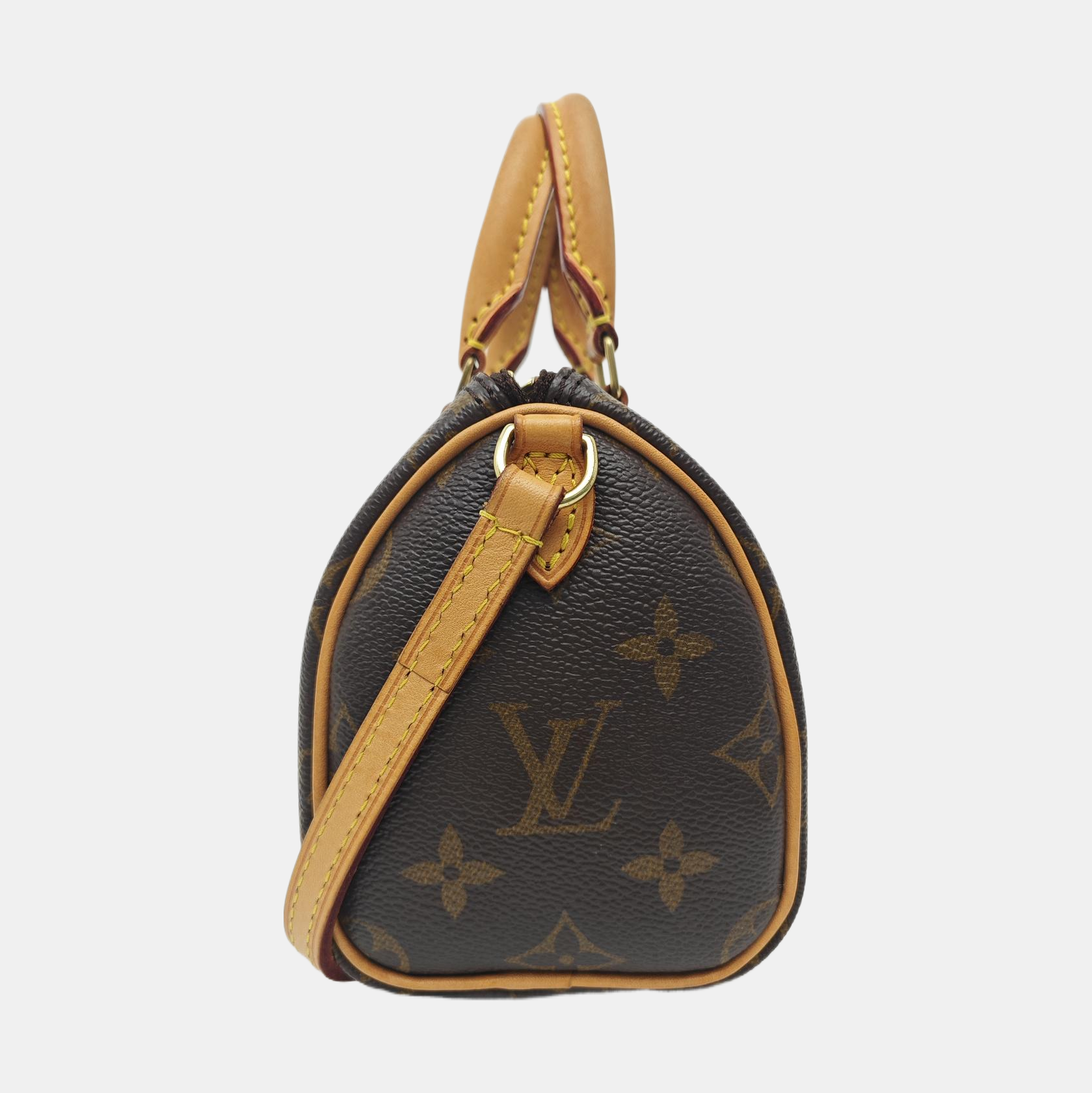 SPEEDY Nano Monogram Coated Canvas Brown