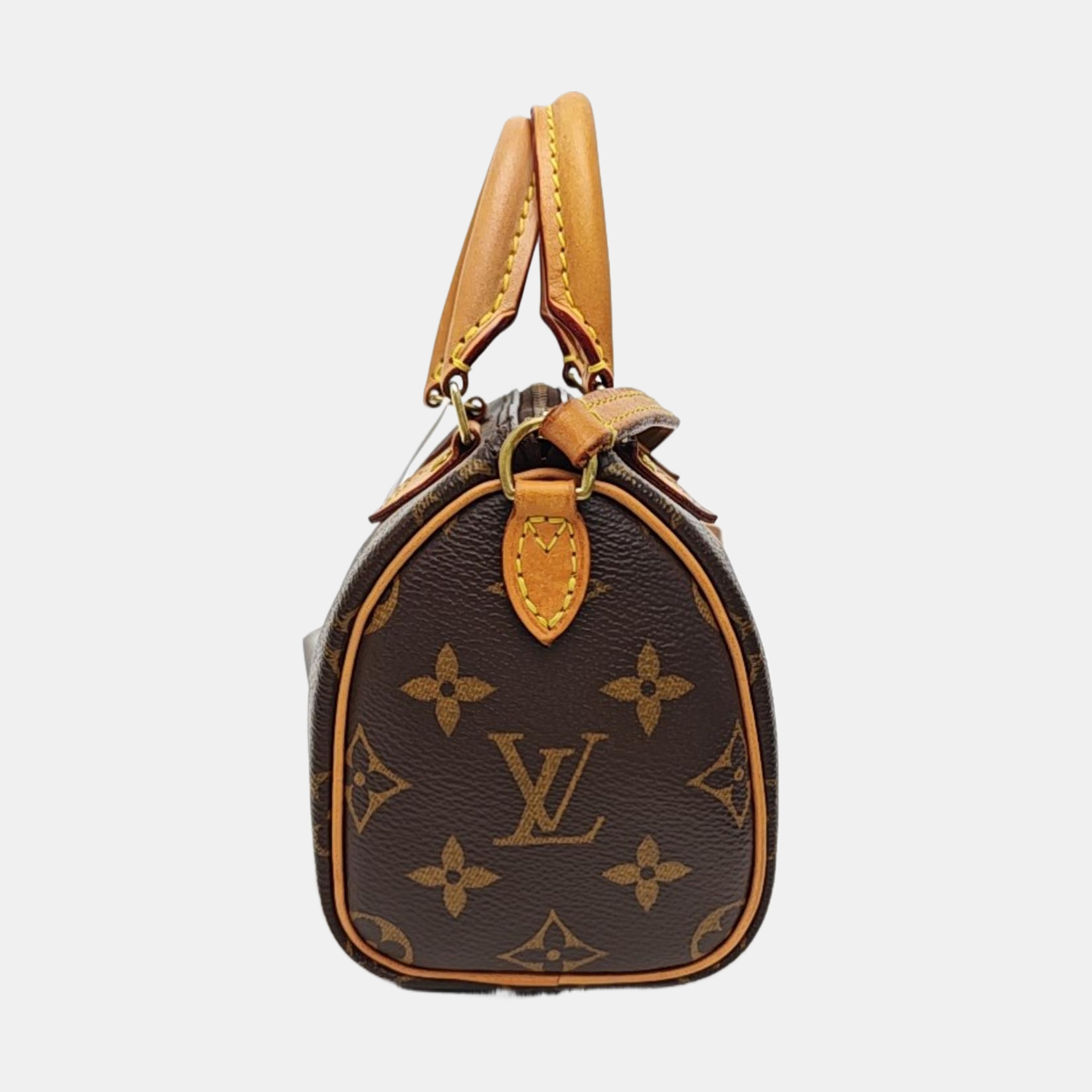 SPEEDY Nano Monogram Coated Canvas Brown