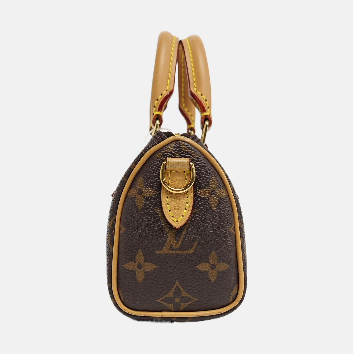 SPEEDY Nano Monogram Coated Canvas Brown