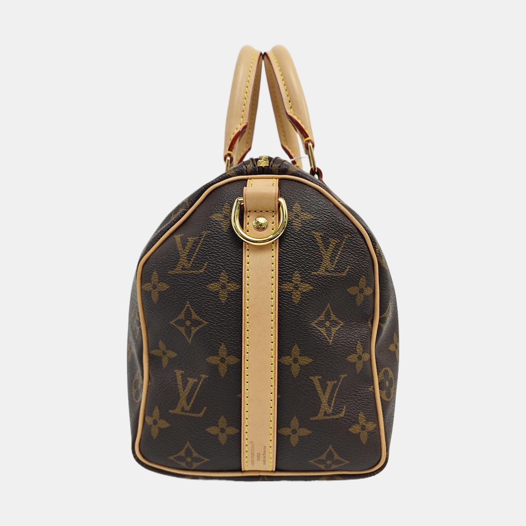 SPEEDY 25 Monogram Coated Canvas Brown