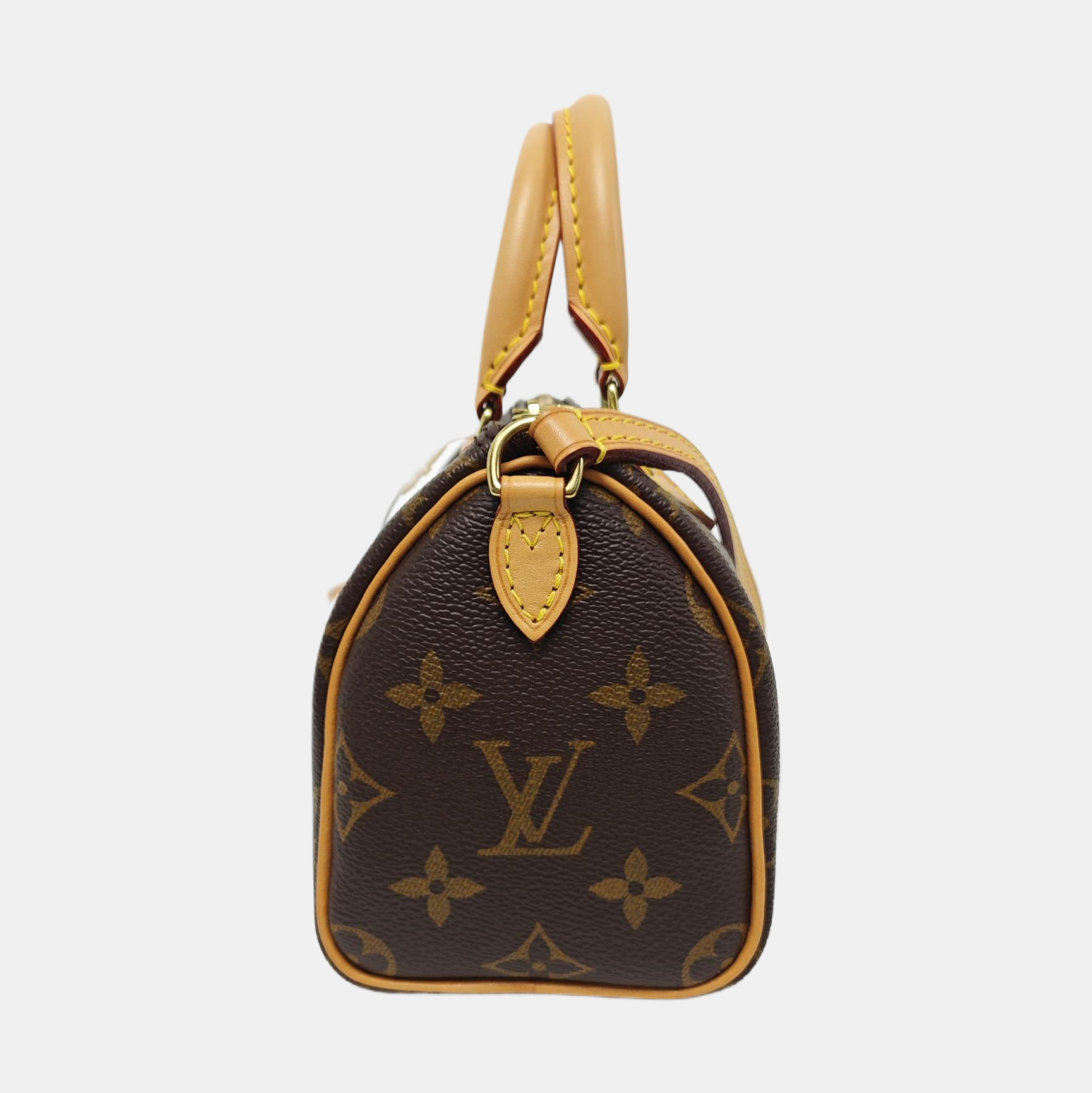SPEEDY Nano Monogram Coated Canvas Brown