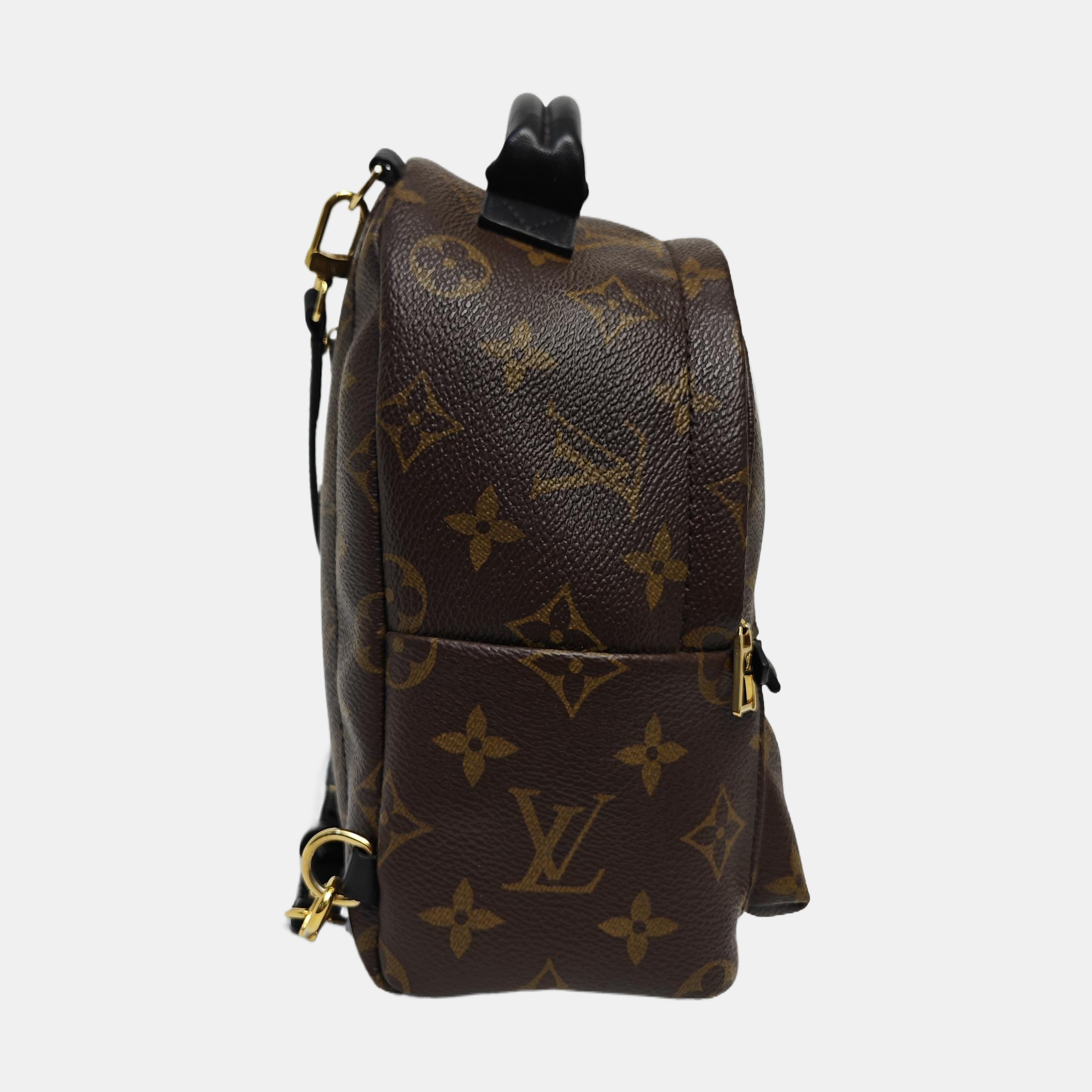 PALM SPRINGS Mini Monogram Coated Canvas Brown