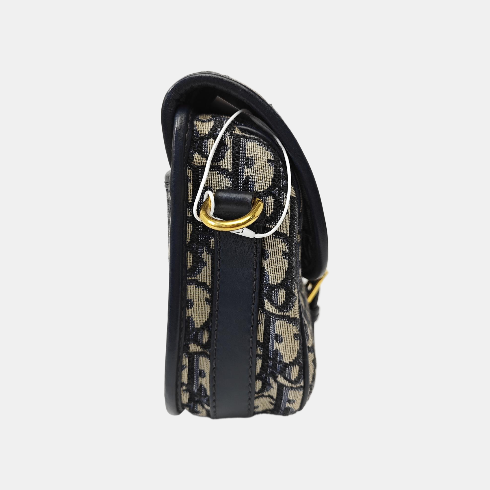 Bobby East-West Medium Oblique Canvas Blue