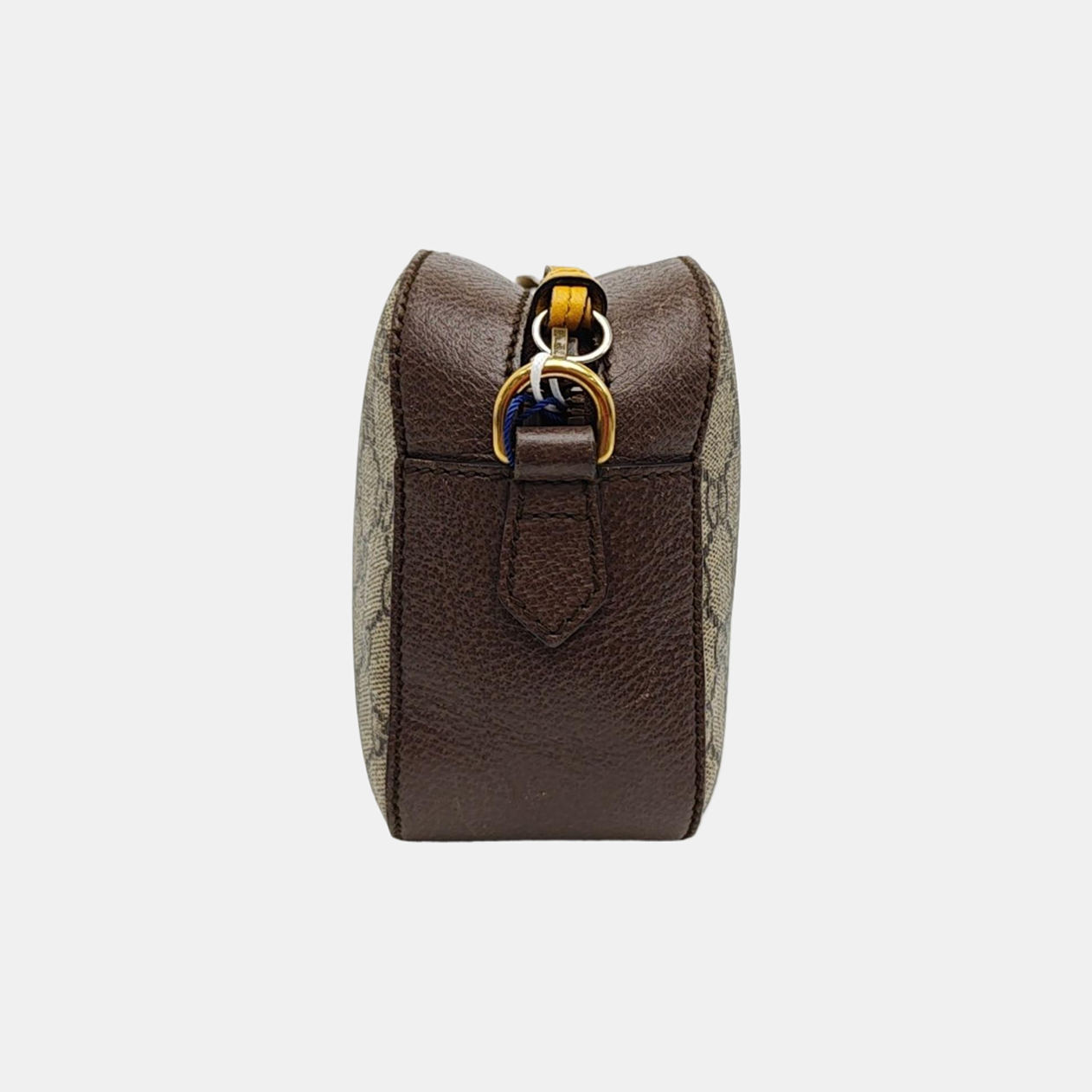 Neo Vintage Monogram Coated Canvas Beige