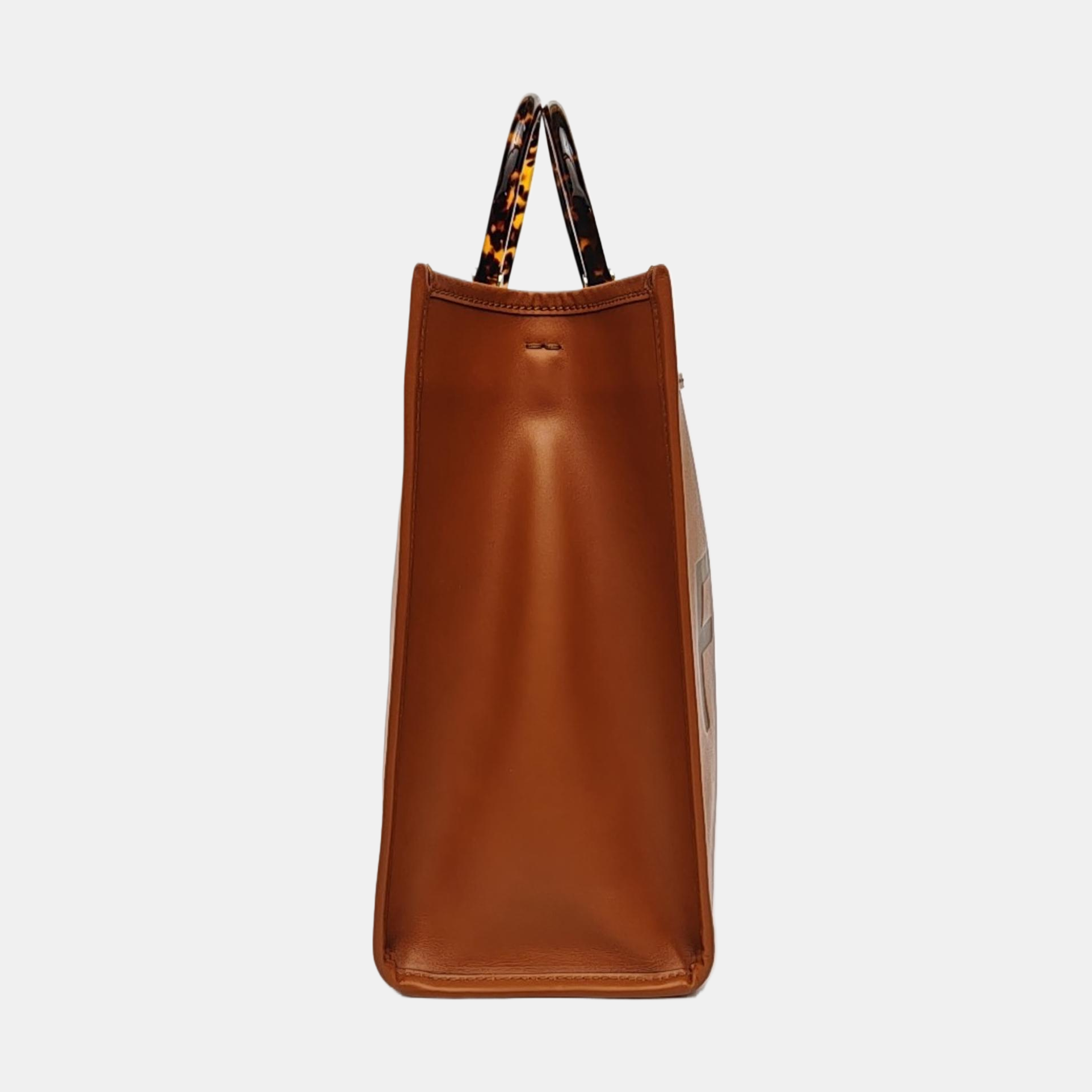 Sunshine Medium Calfskin Brown