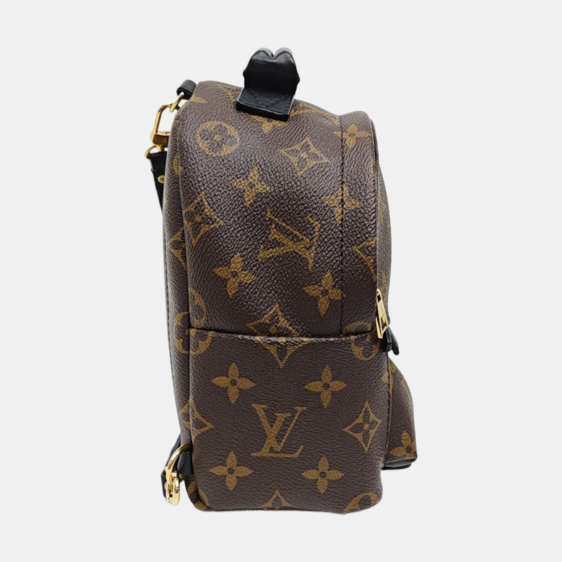 PALM SPRINGS Mini Monogram Coated Canvas Brown