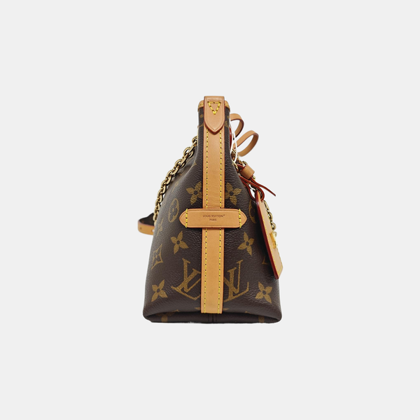 CARRYALL BB Monogram Coated Canvas Brown