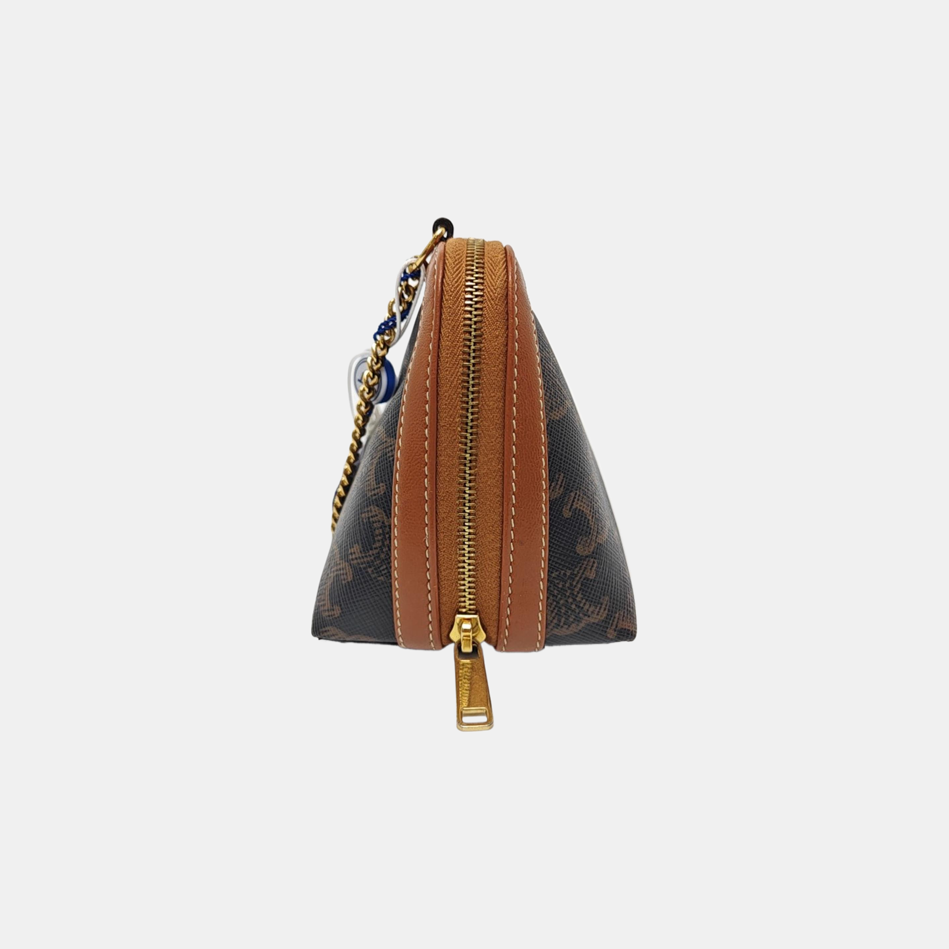 TRIOMPHE CANVAS Mini Coated Canvas Brown