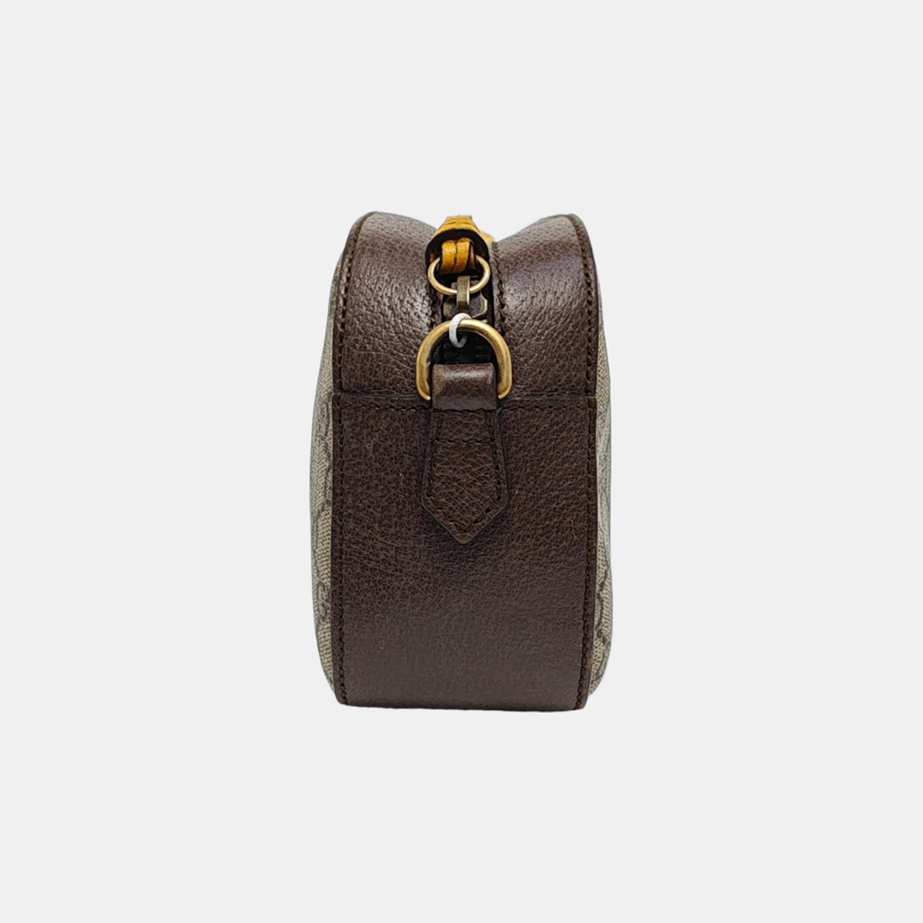 Neo Vintage Monogram Coated Canvas Beige