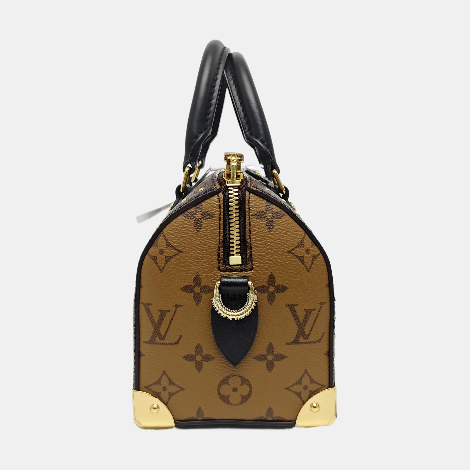 SPEEDY TRUNK 20 Monogram Coated Canvas Brown