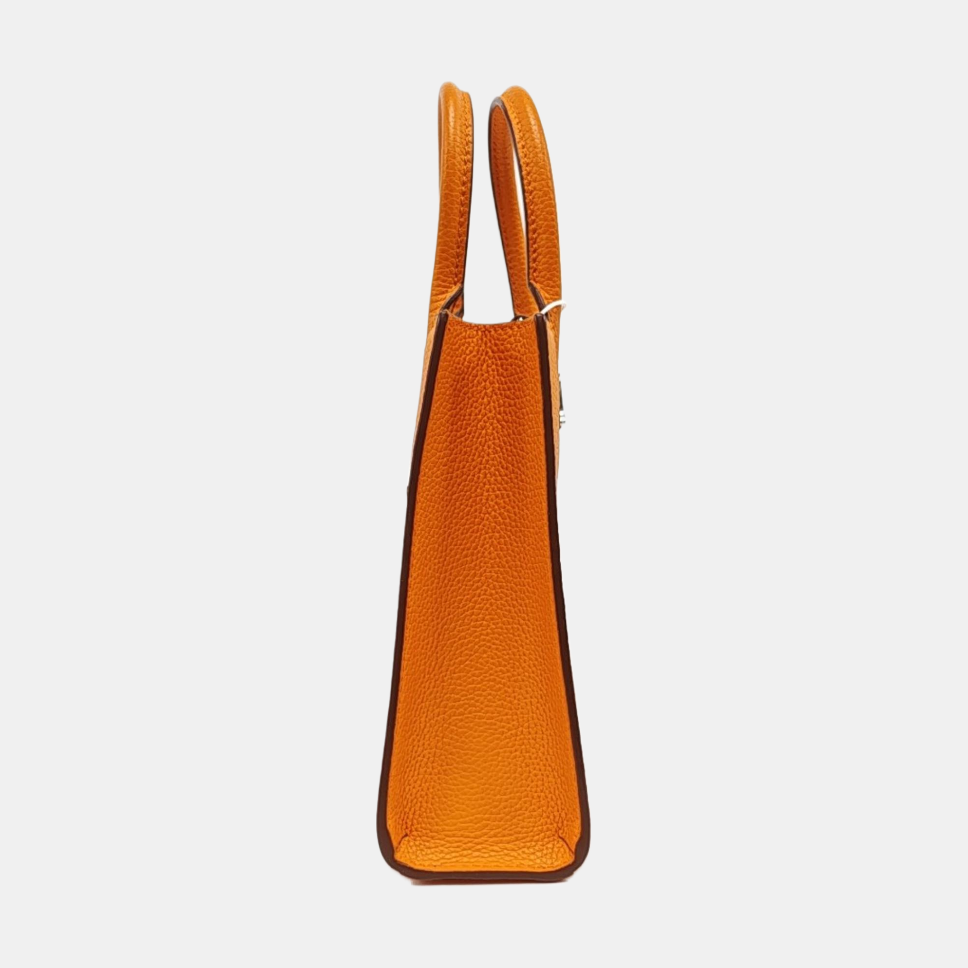 Frances Extra Small Calfskin Orange