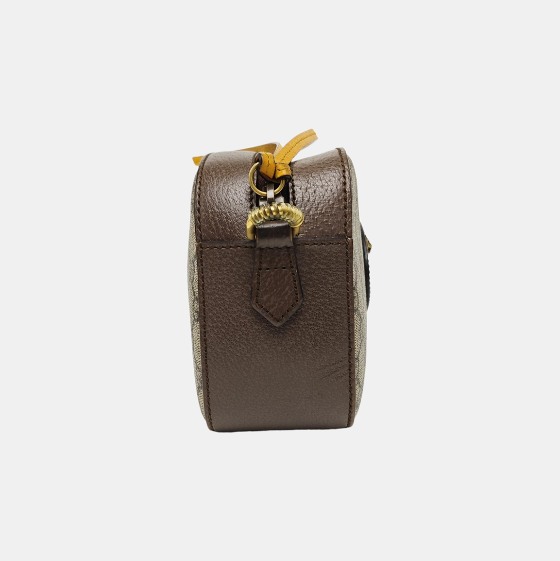 Neo Vintage Monogram Coated Canvas Beige