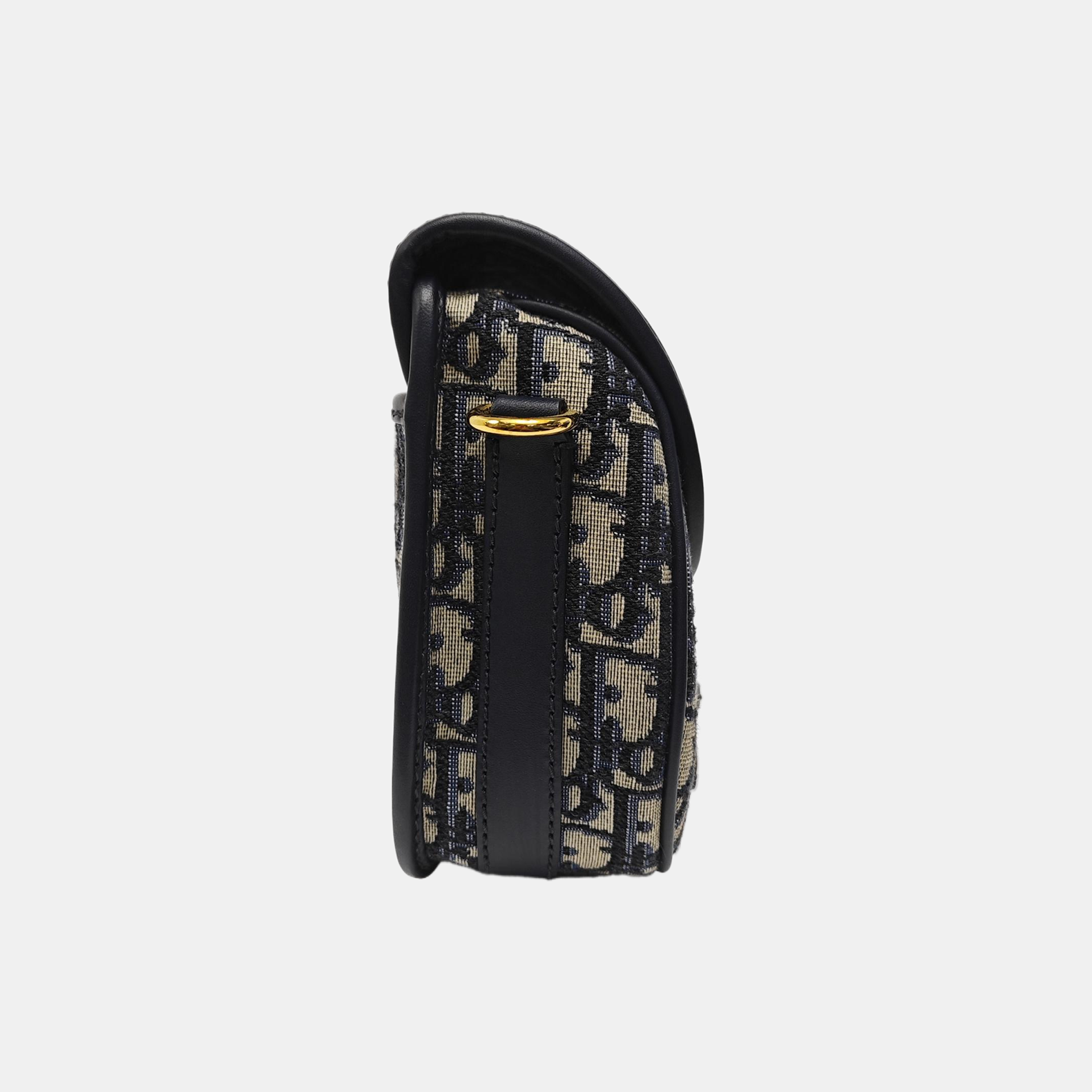 Bobby East-West Medium Oblique Canvas Blue