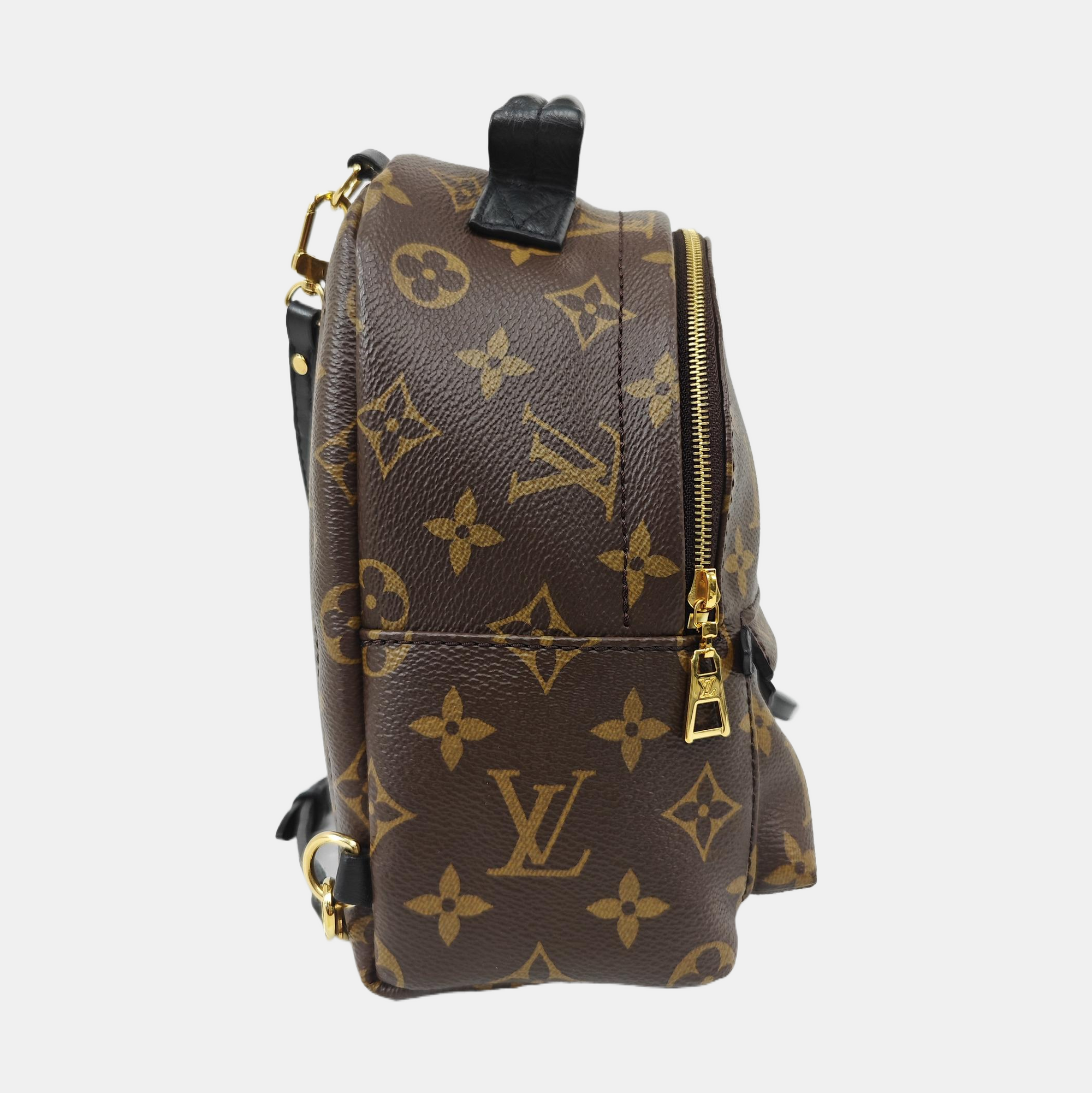 PALM SPRINGS Mini Monogram Coated Canvas Brown
