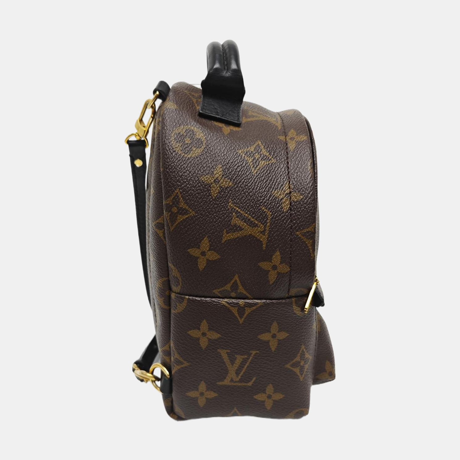 PALM SPRINGS Mini Monogram Coated Canvas Brown