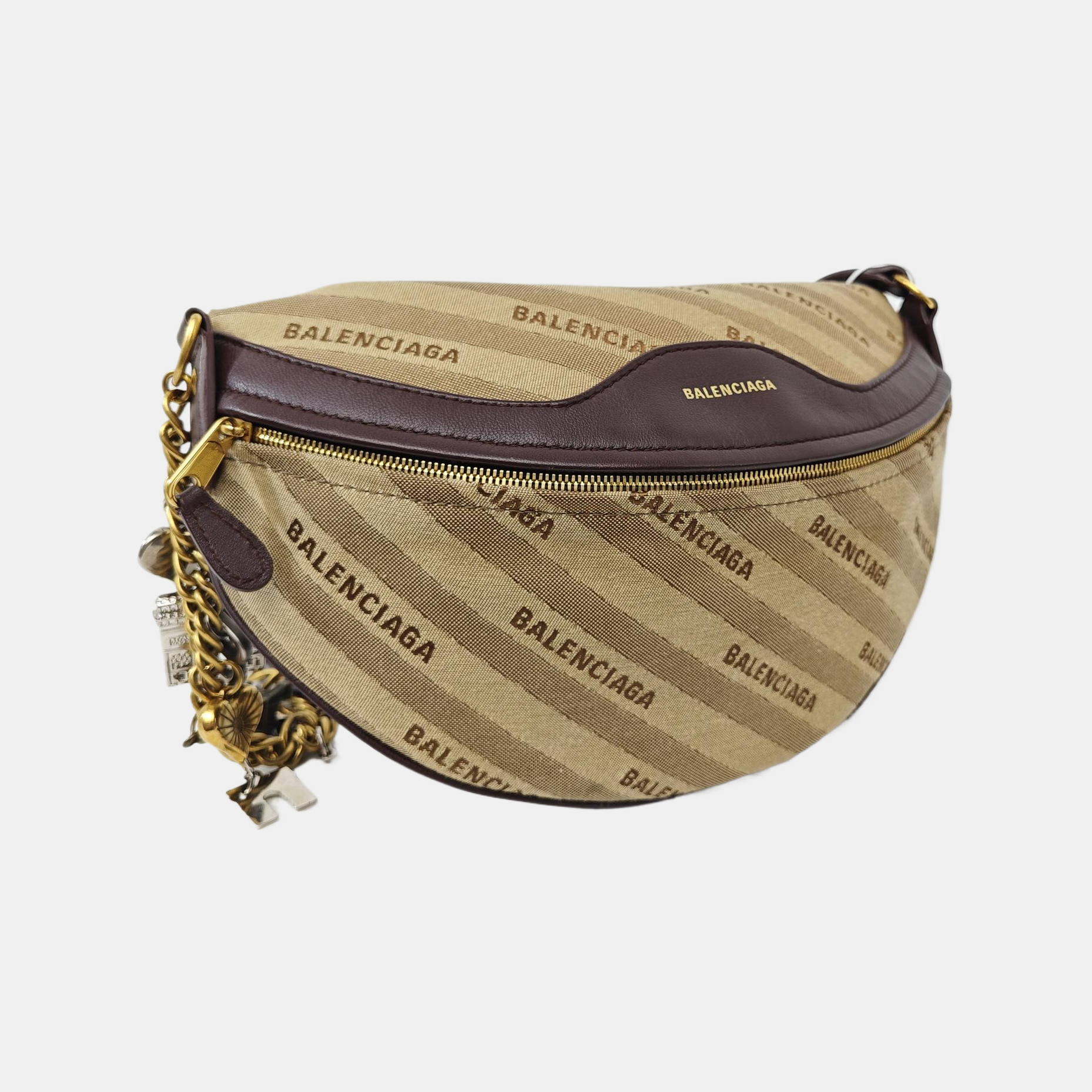 Souvenirs Canvas Brown