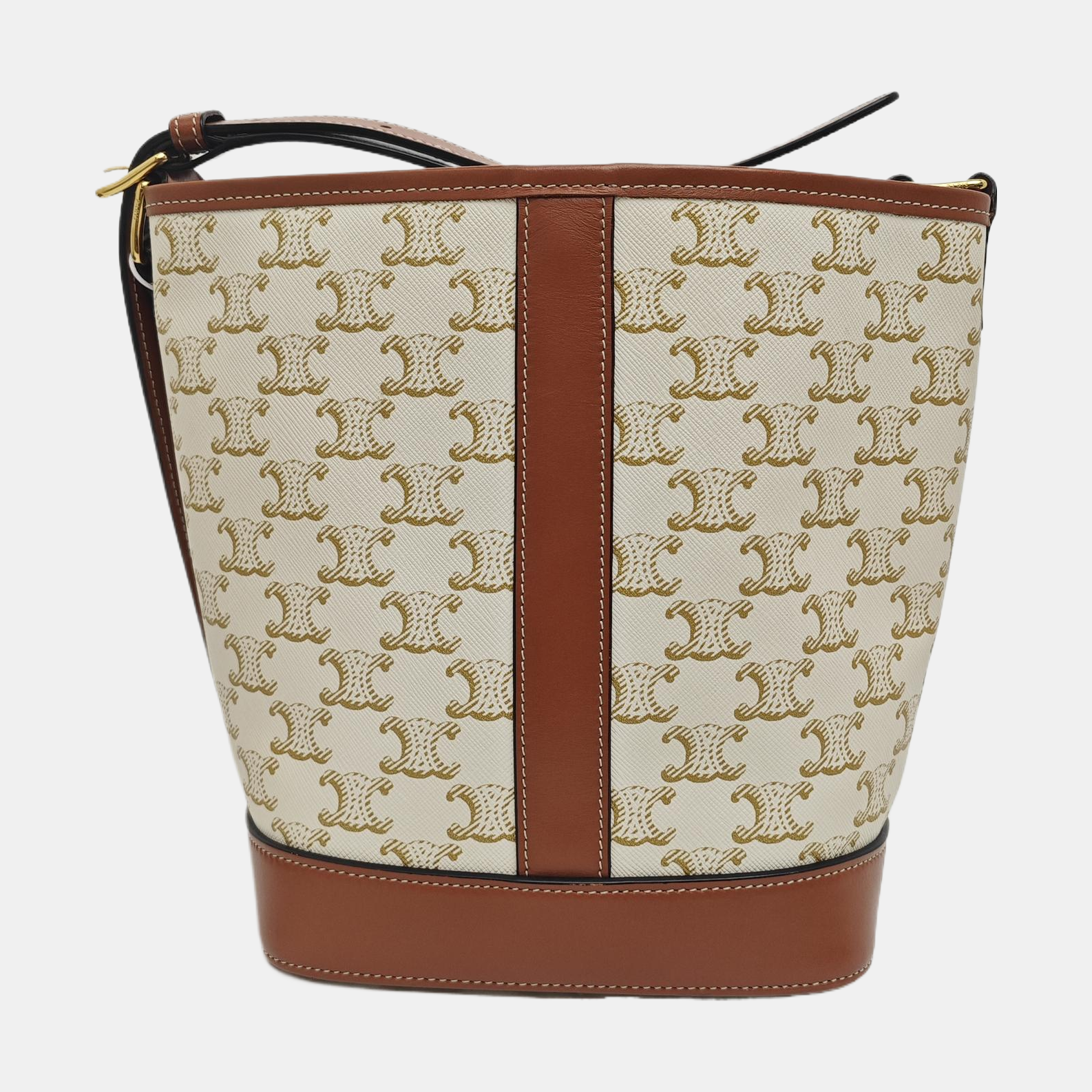 TRIOMPHE CANVAS Small Coated Canvas Beige