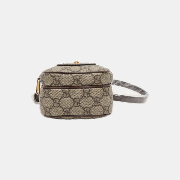 Neo Vintage Mini Monogram Coated Canvas Brown