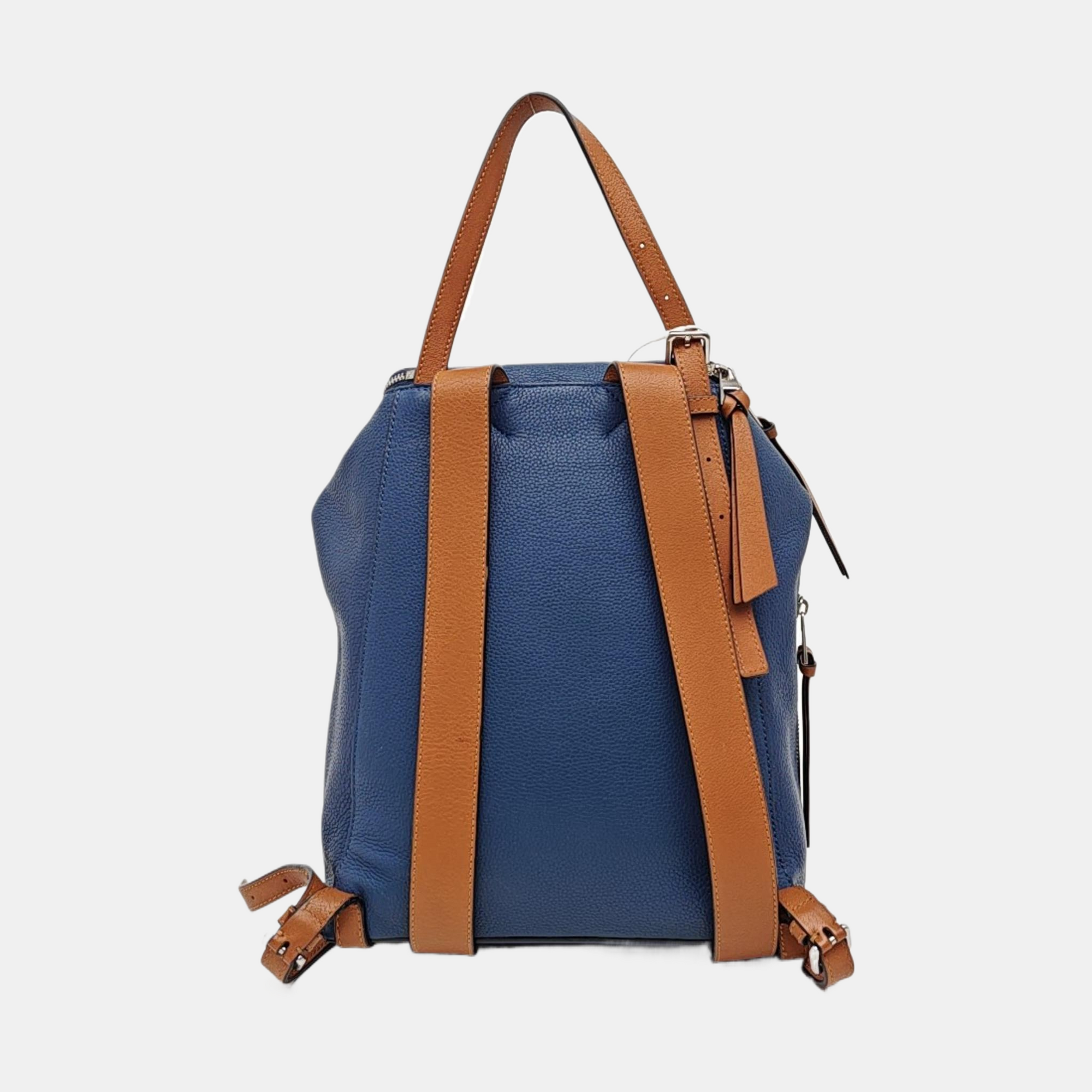 Goya Small Calfskin Blue