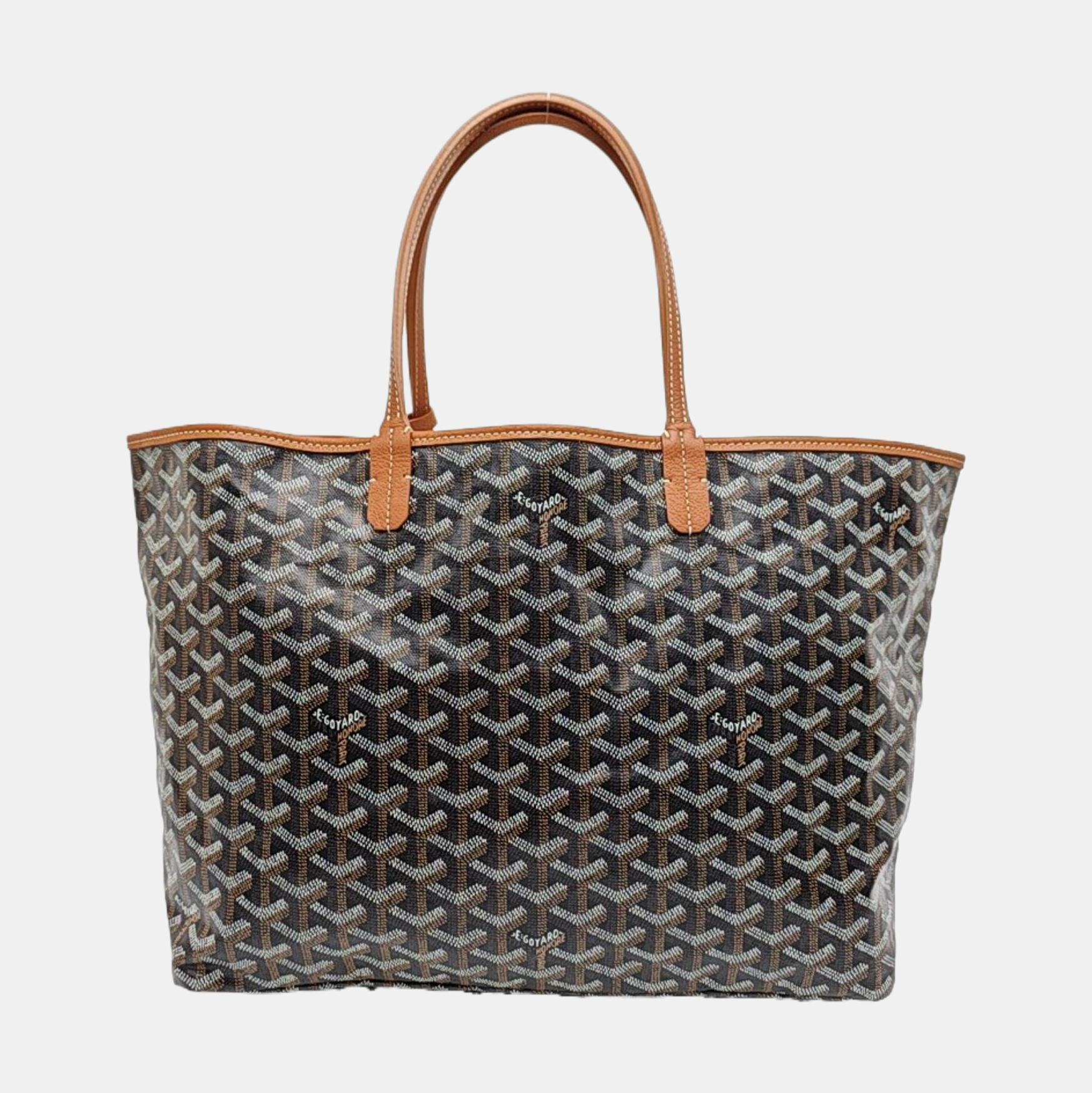 Saint Louis PM Coated Canvas Black