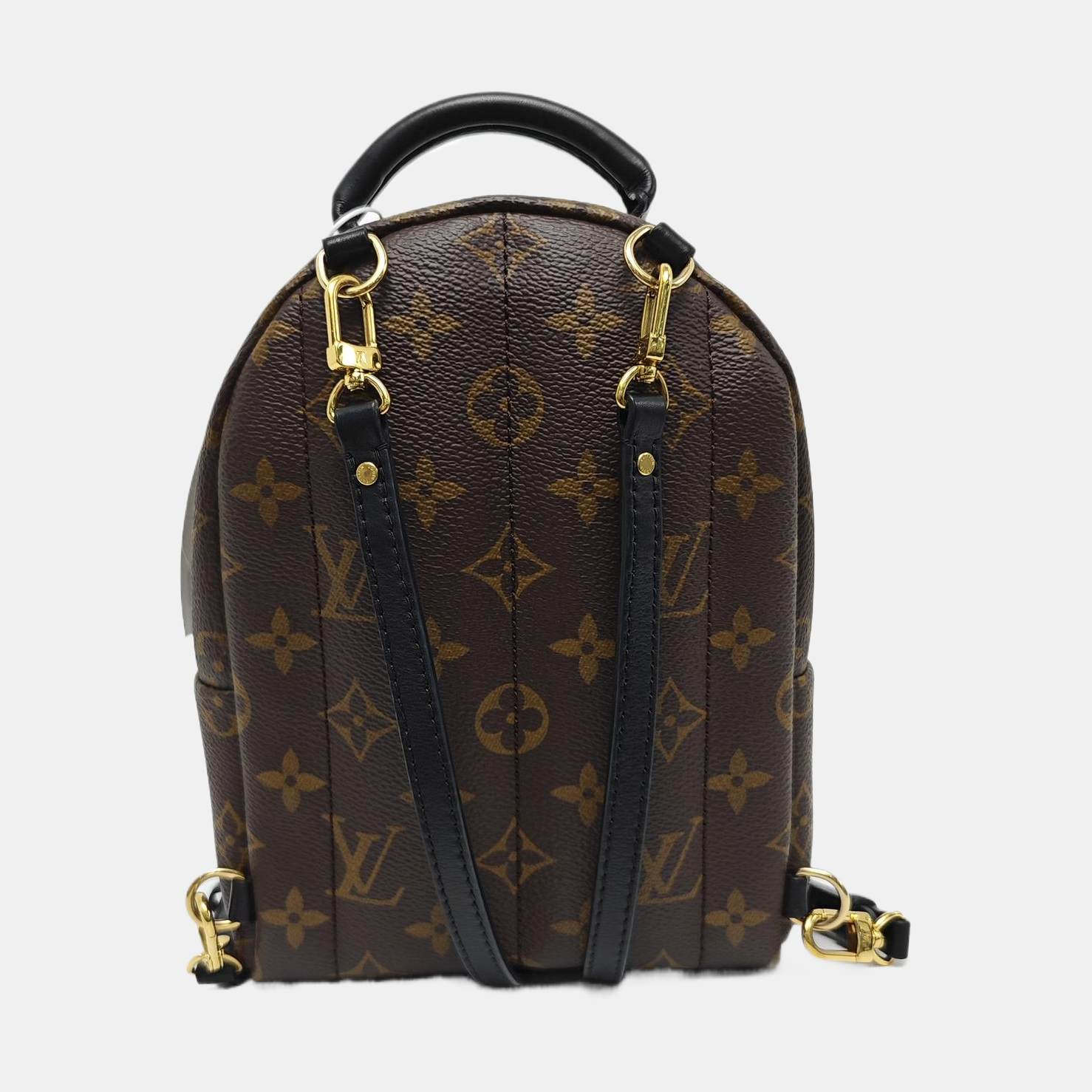 PALM SPRINGS Mini Monogram Coated Canvas Brown