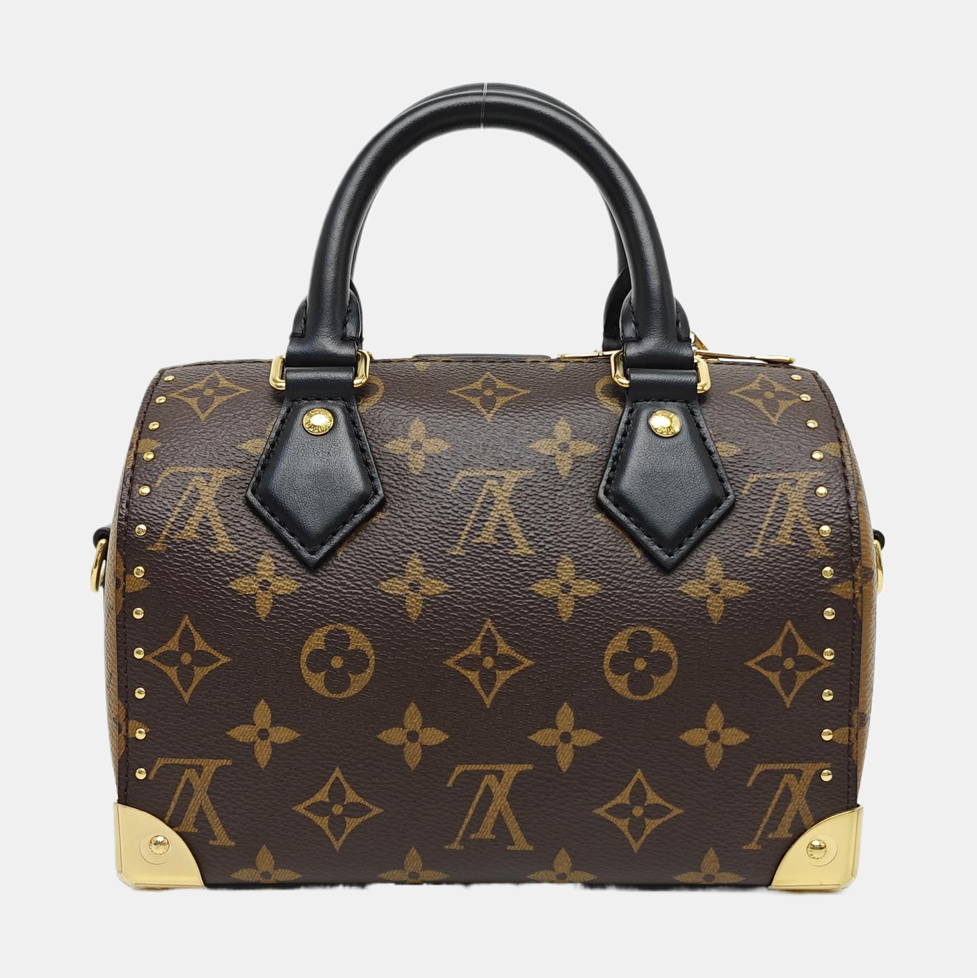 SPEEDY TRUNK 20 Monogram Coated Canvas Brown