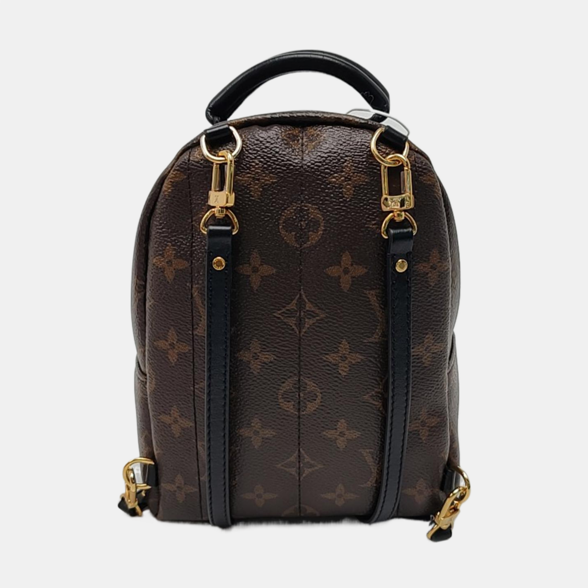 PALM SPRINGS Mini Monogram Coated Canvas Brown