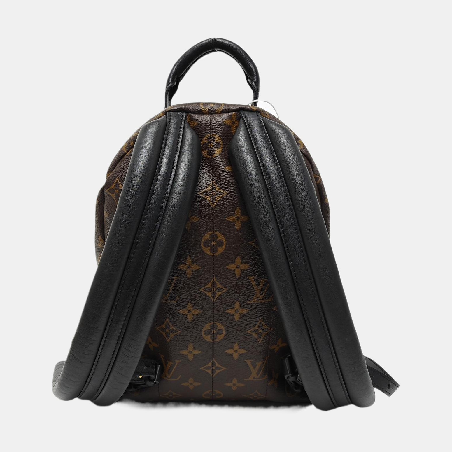 PALM SPRINGS PM Monogram Coated Canvas Brown