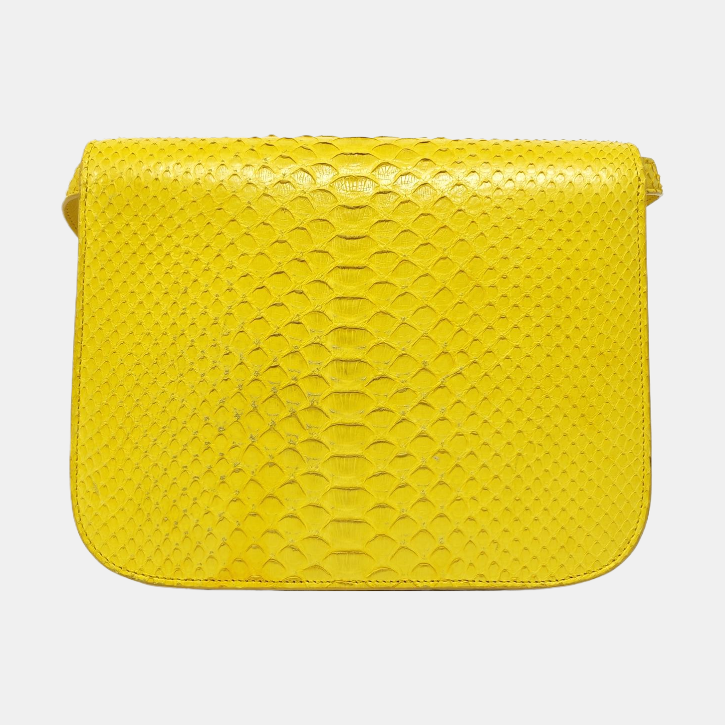 CLASSIC BOX Medium Python Yellow