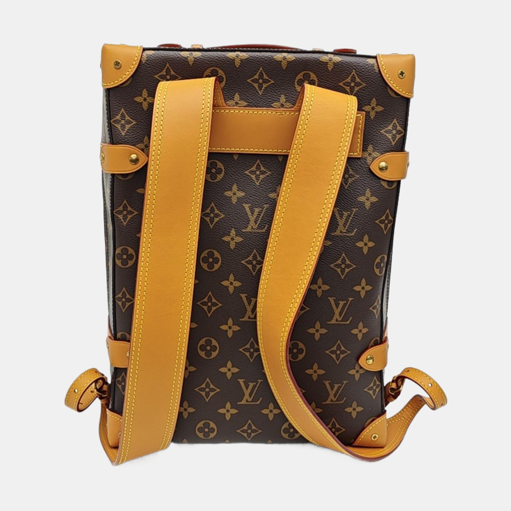 SOFT TRUNK PM Monogram Coated Canvas Brown