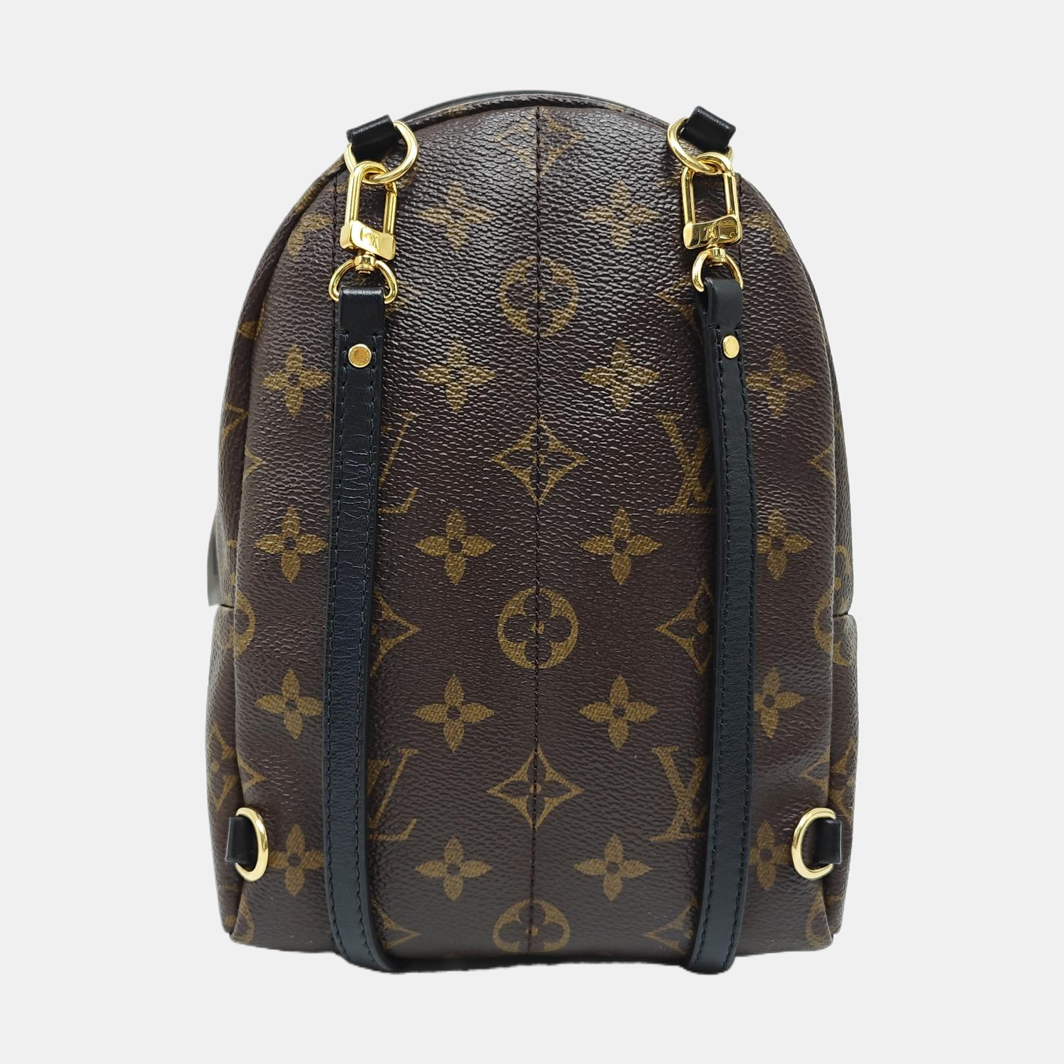 PALM SPRINGS Mini Monogram Coated Canvas Brown