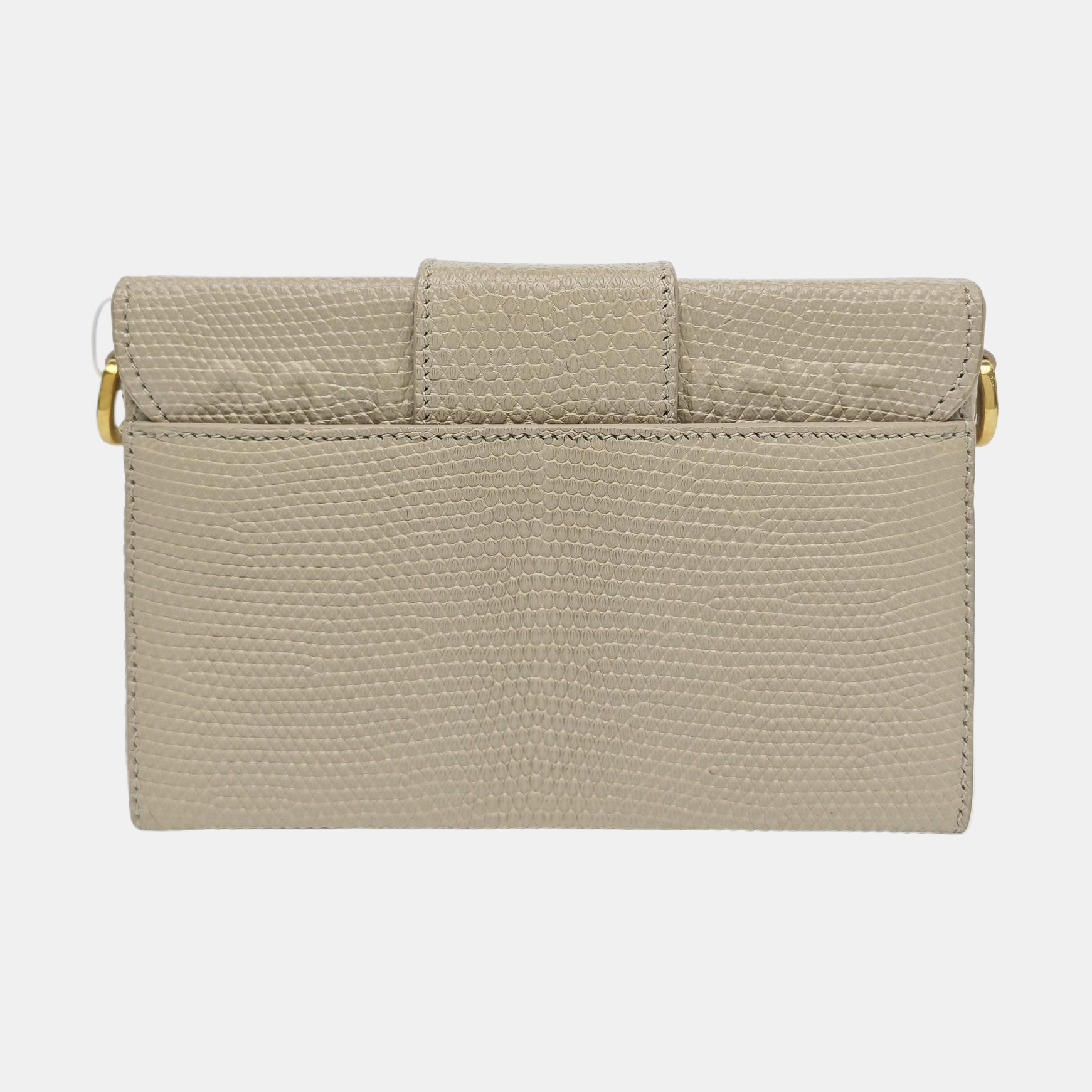 30 Montaigne Mini Python Gray