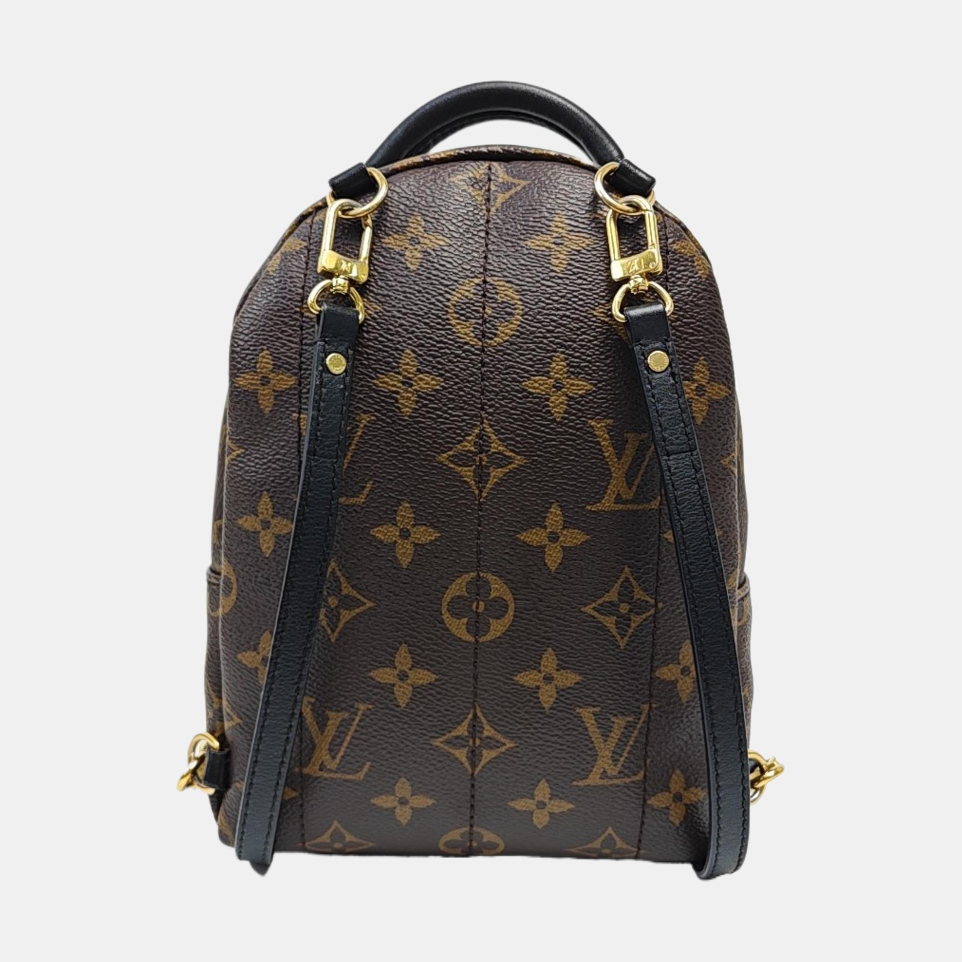 PALM SPRINGS Mini Monogram Coated Canvas Brown