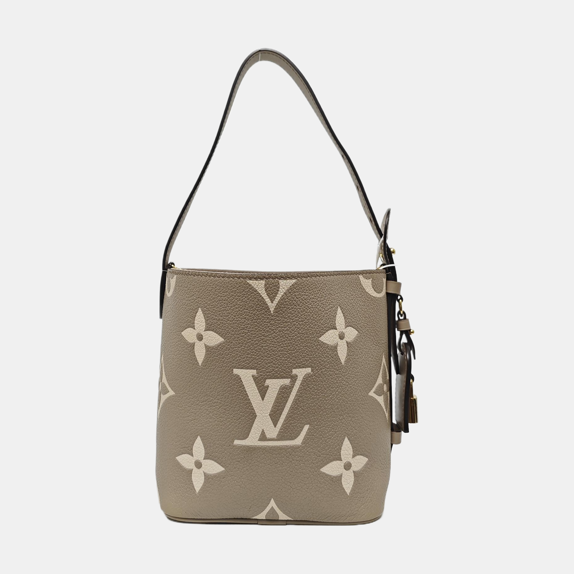 ALL IN BB Monogram Calfskin Gray