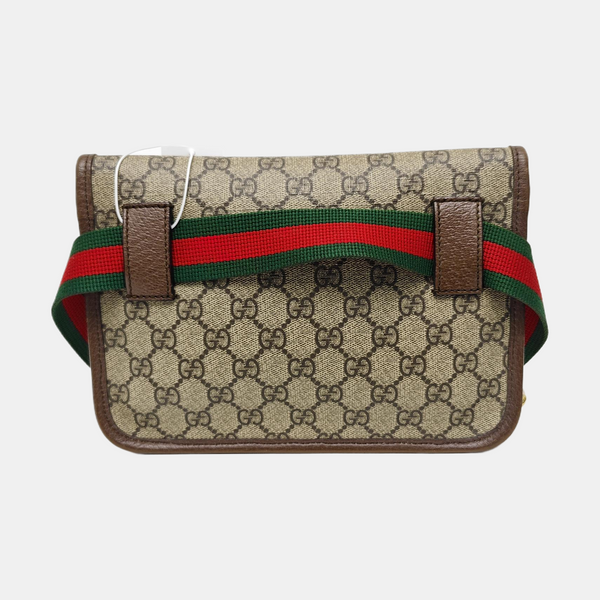 Neo Vintage Monogram Coated Canvas Beige