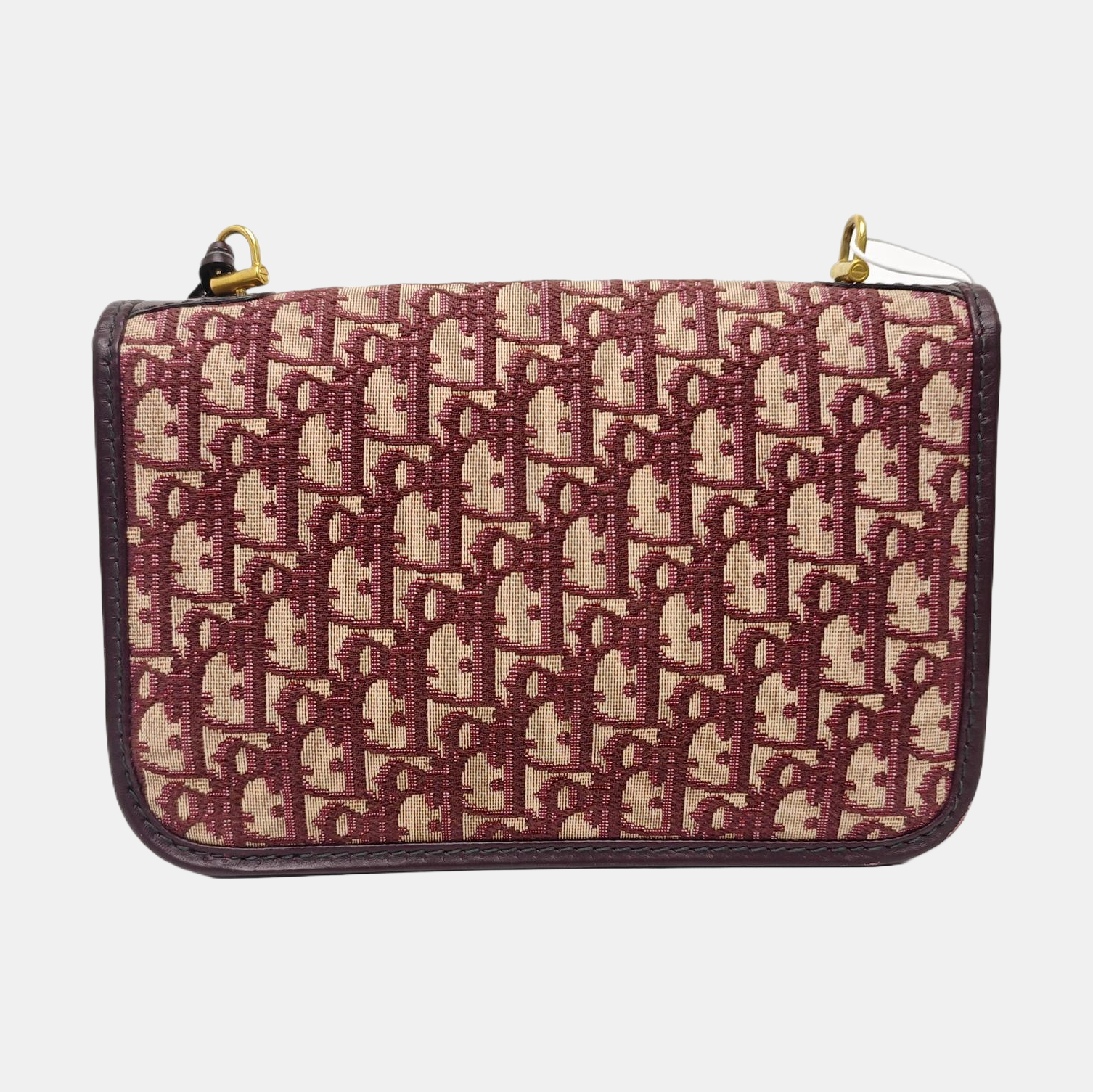 Dioraddict Oblique Canvas Red
