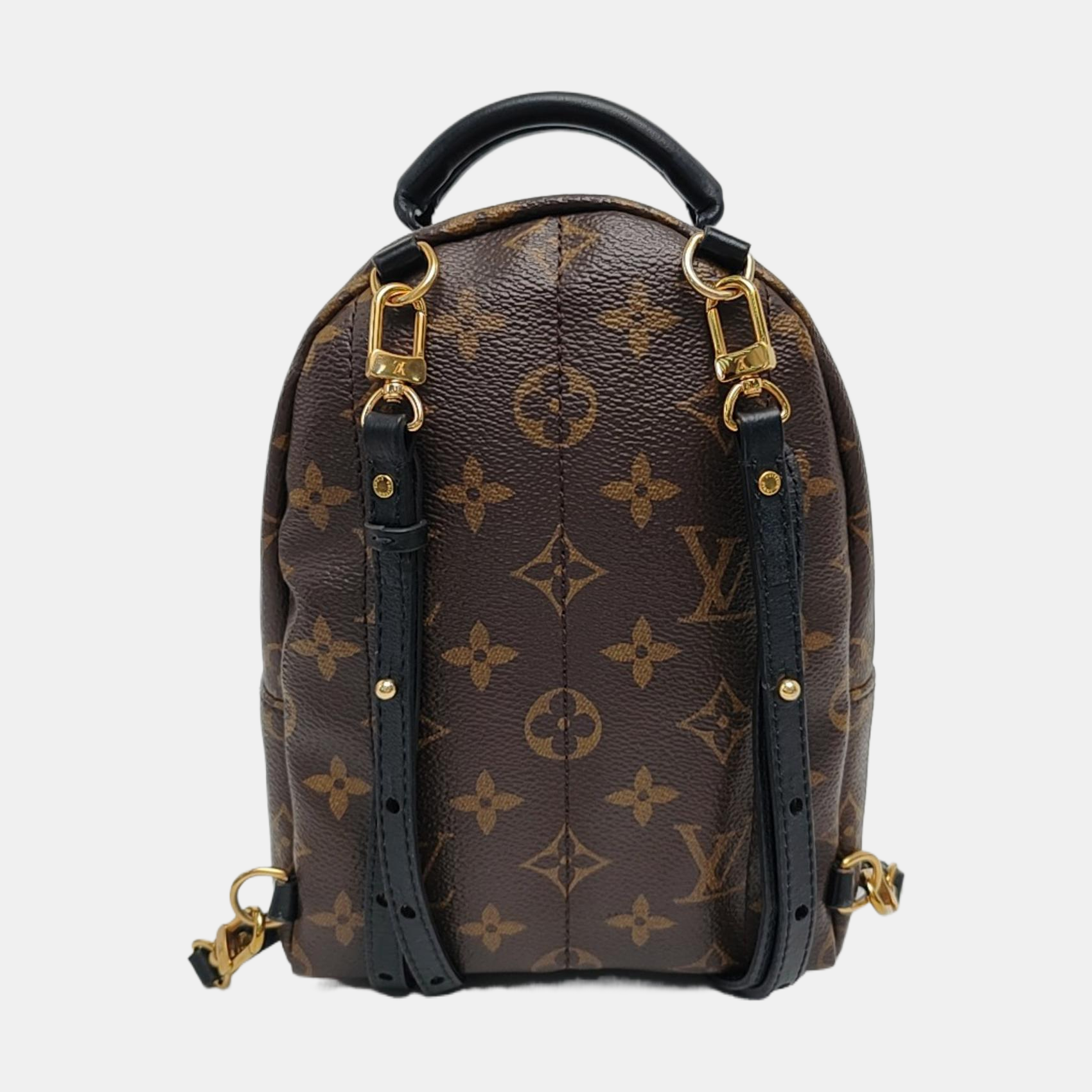 PALM SPRINGS Mini Monogram Coated Canvas Brown