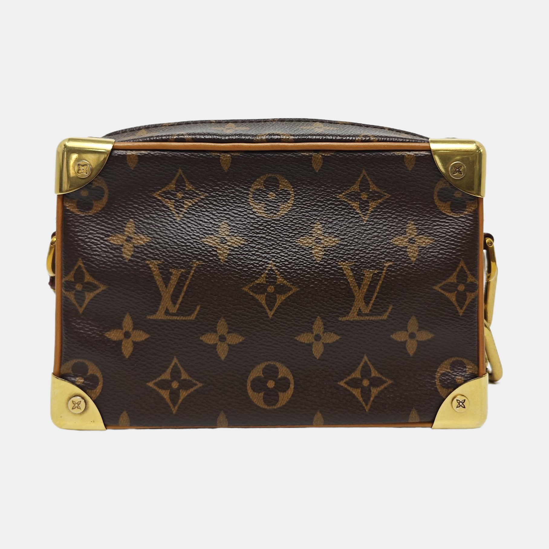 SOFT TRUNK Mini Monogram Coated Canvas Brown