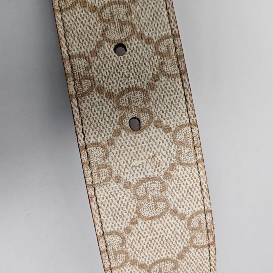 Coated Canvas Belt Beige