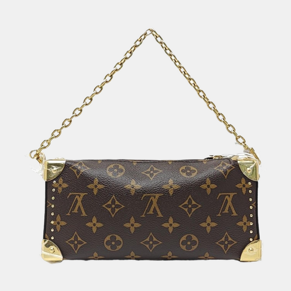 SLIM TRUNK Monogram Coated Canvas Brown