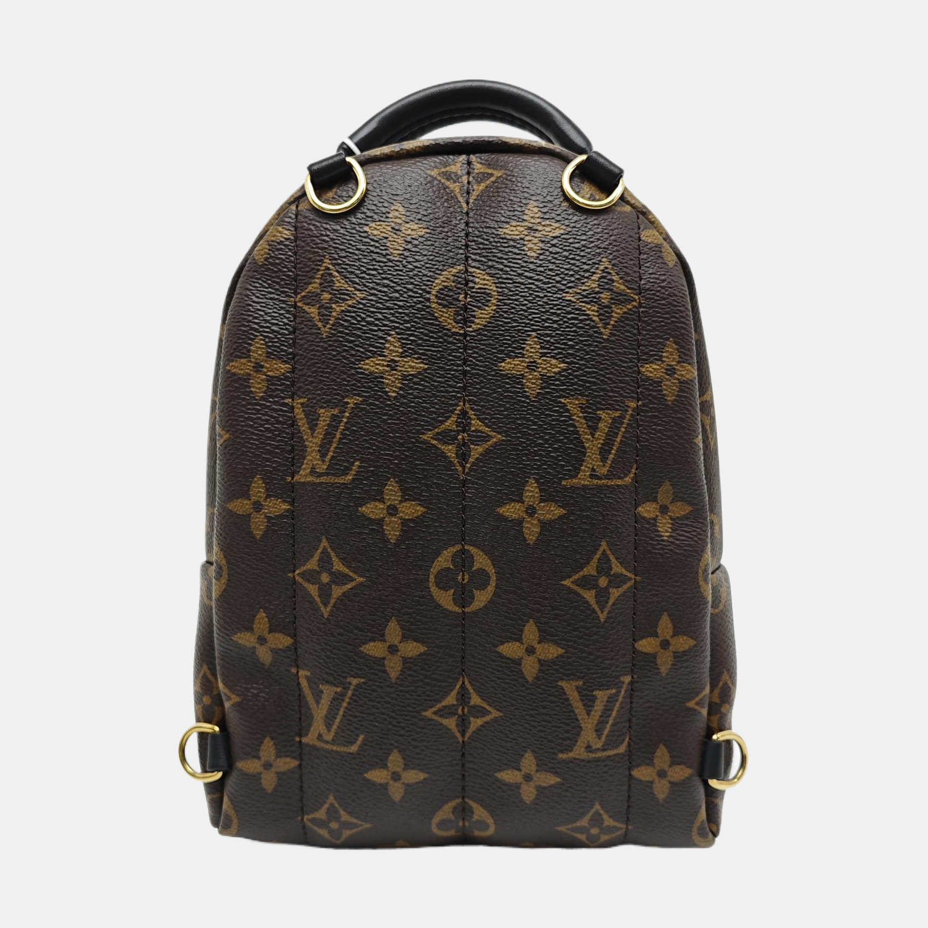 PALM SPRINGS Mini Monogram Coated Canvas Brown