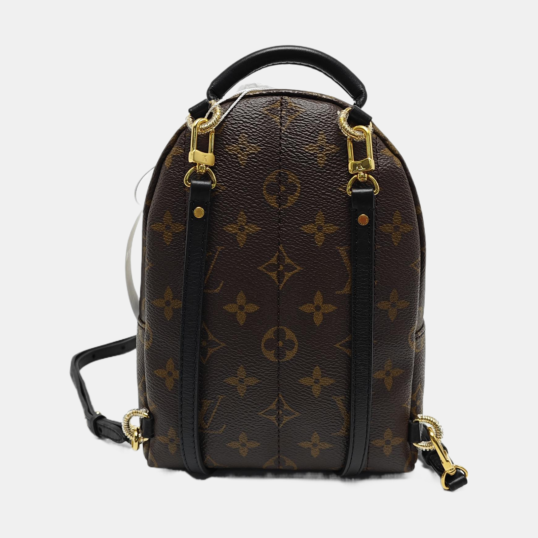 PALM SPRINGS Mini Monogram Coated Canvas Brown