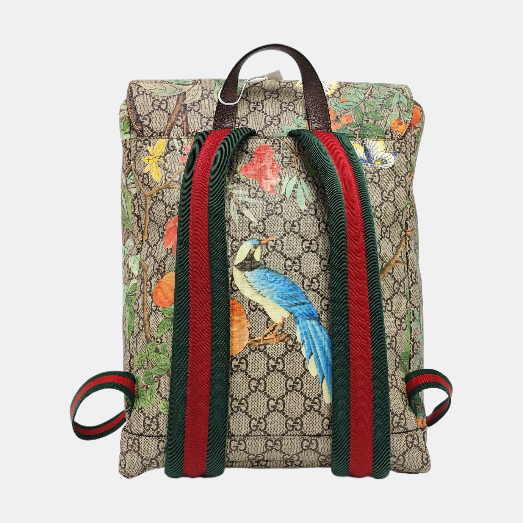 Tian Monogram Coated Canvas Brown