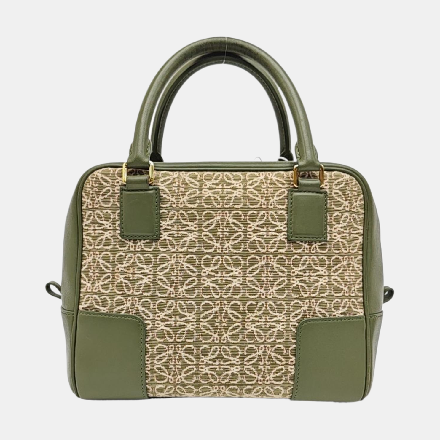 Amazona 19 Monogram Canvas Green