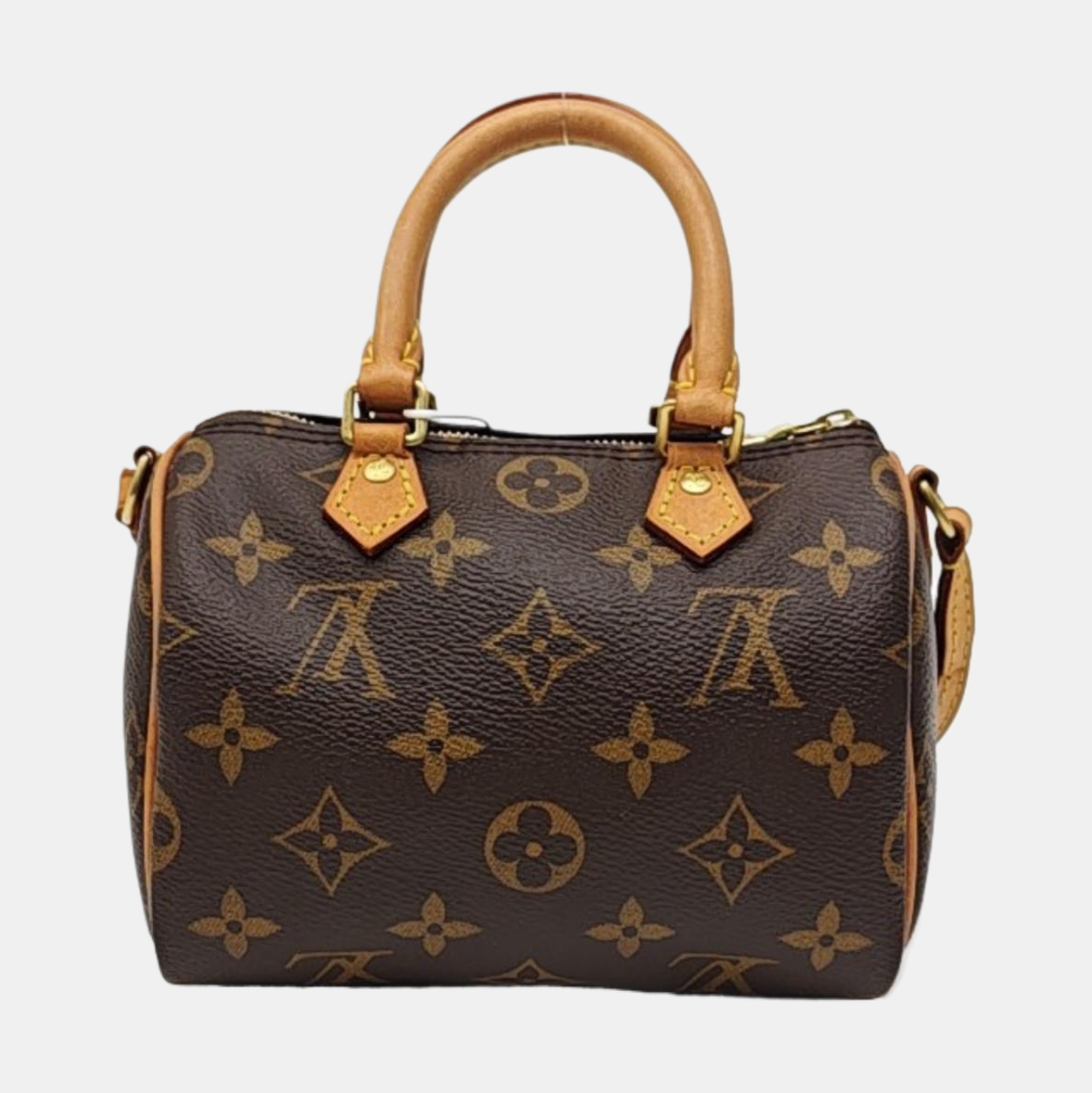 SPEEDY Nano Monogram Coated Canvas Brown