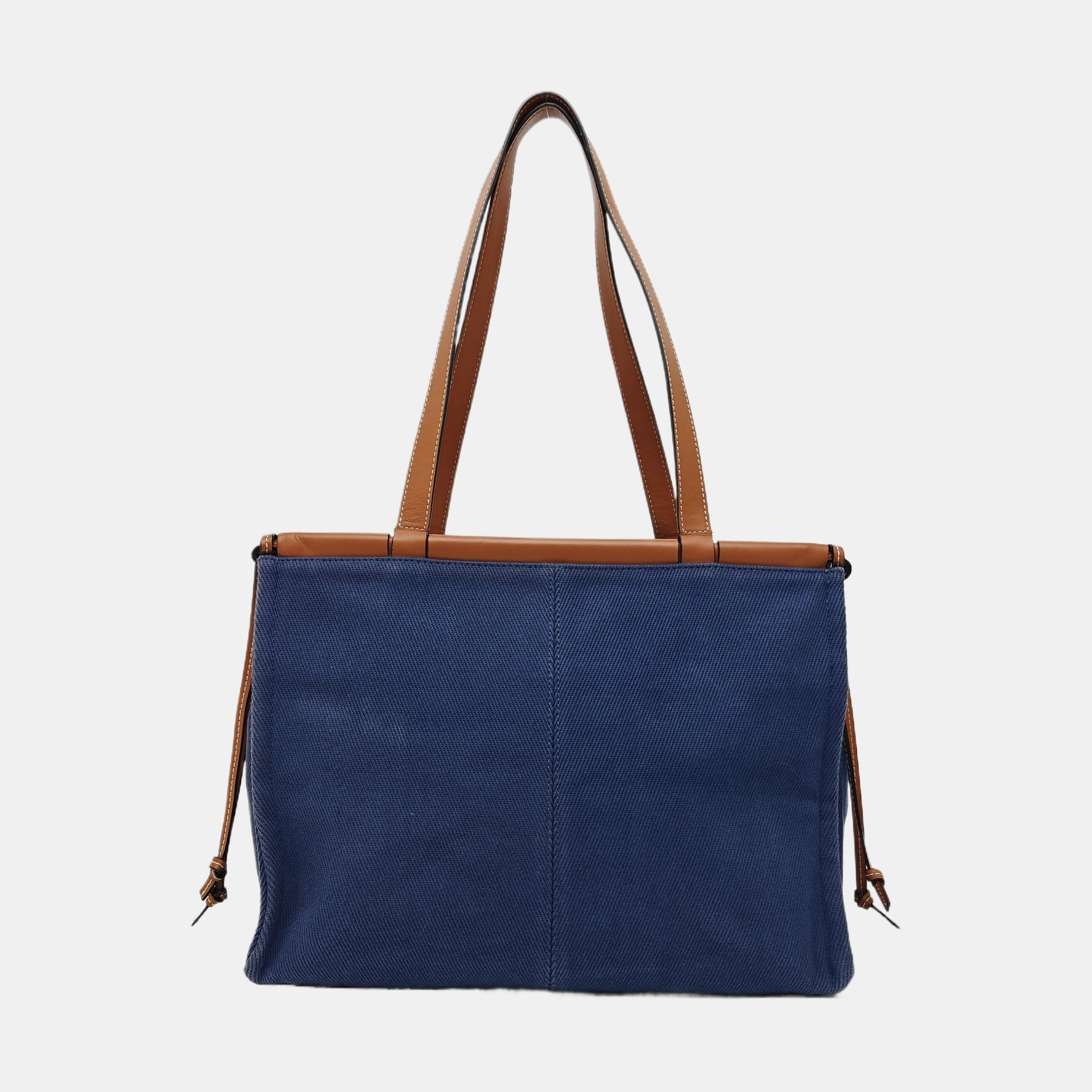 Cushion Canvas Blue