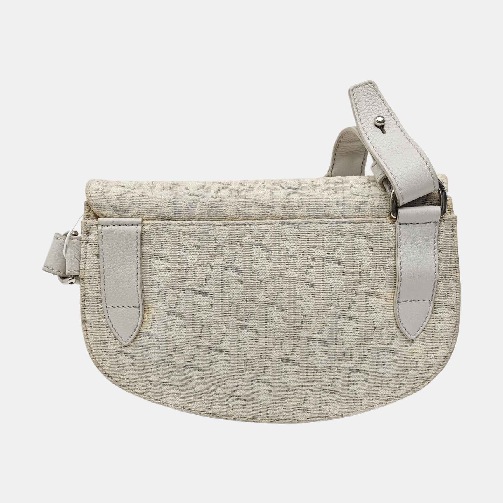 Saddle Small Oblique Canvas Beige