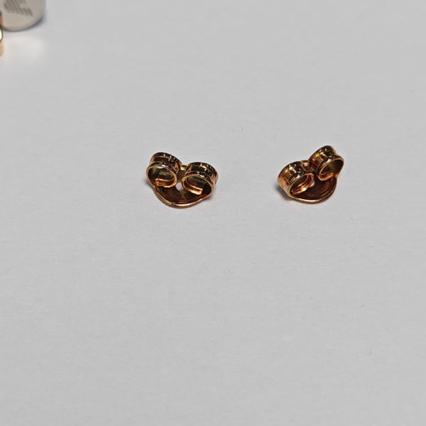 Stainless Steel Silver Earrings