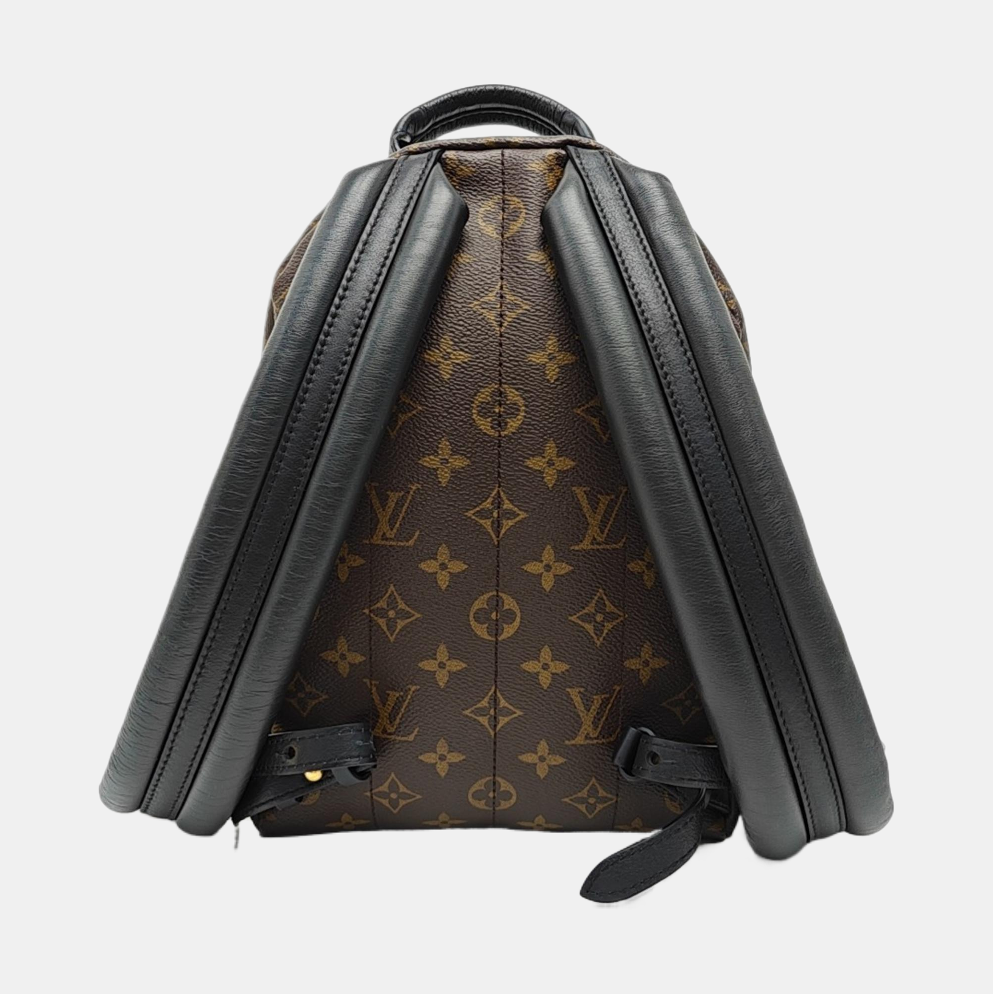 PALM SPRINGS PM Monogram Coated Canvas Brown