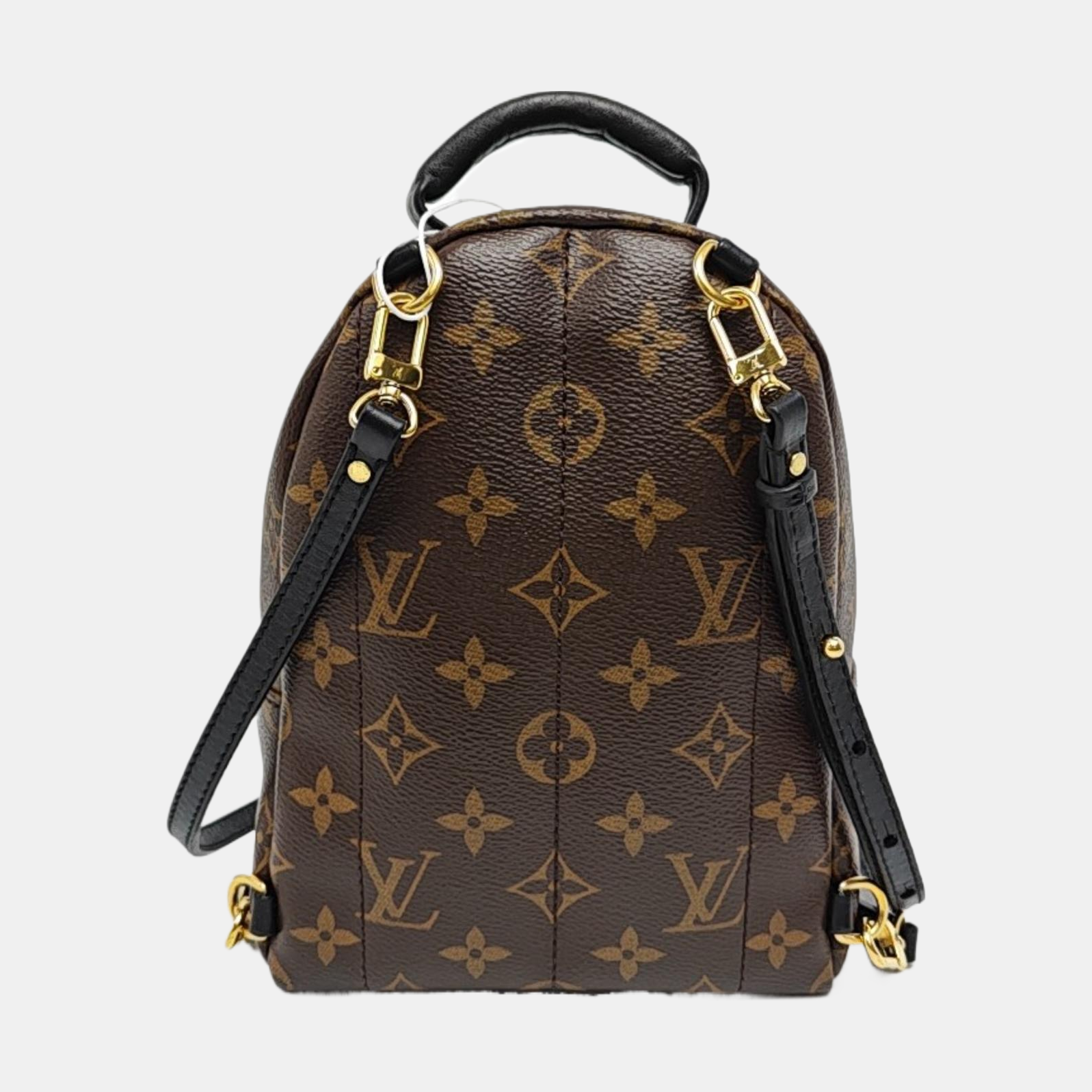 PALM SPRINGS Mini Monogram Coated Canvas Brown